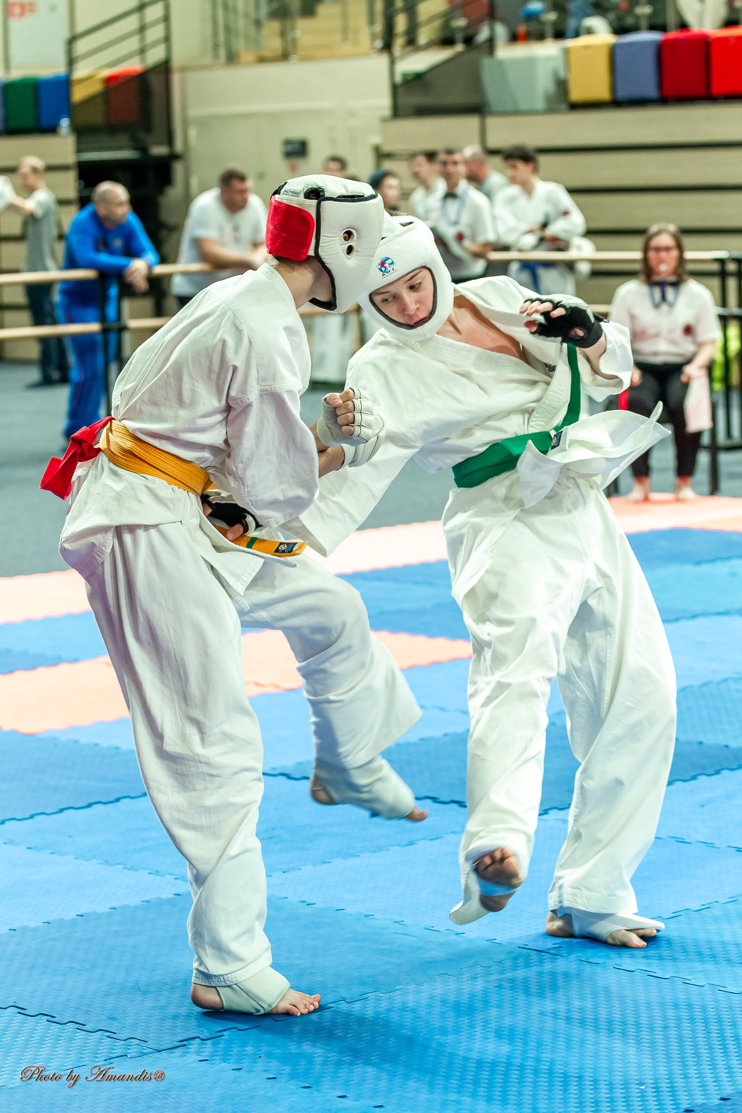 Первенство Московской области по Киокушин в СК «Жаворонки». Репортажная съемка в Москве и области. Анималистика