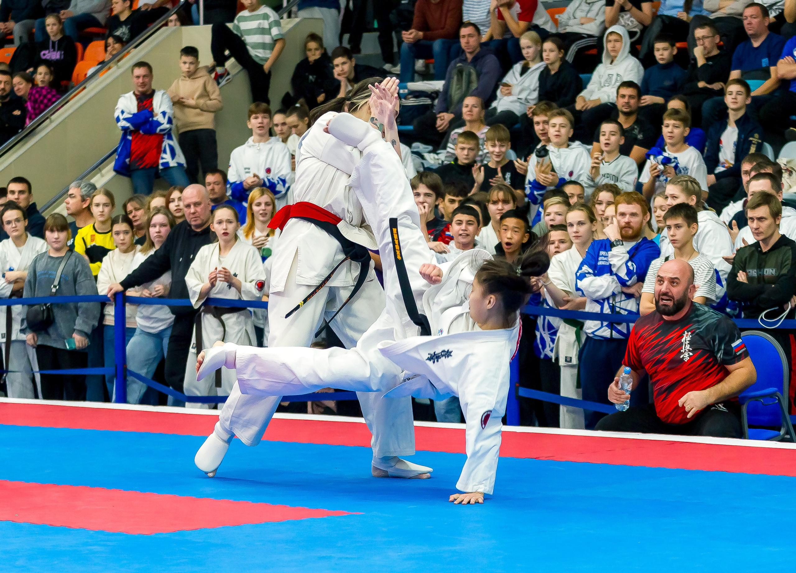 Соревнования по Киокушин памяти С. Увицкого. Репортажная съемка в Москве и области. Анималистика