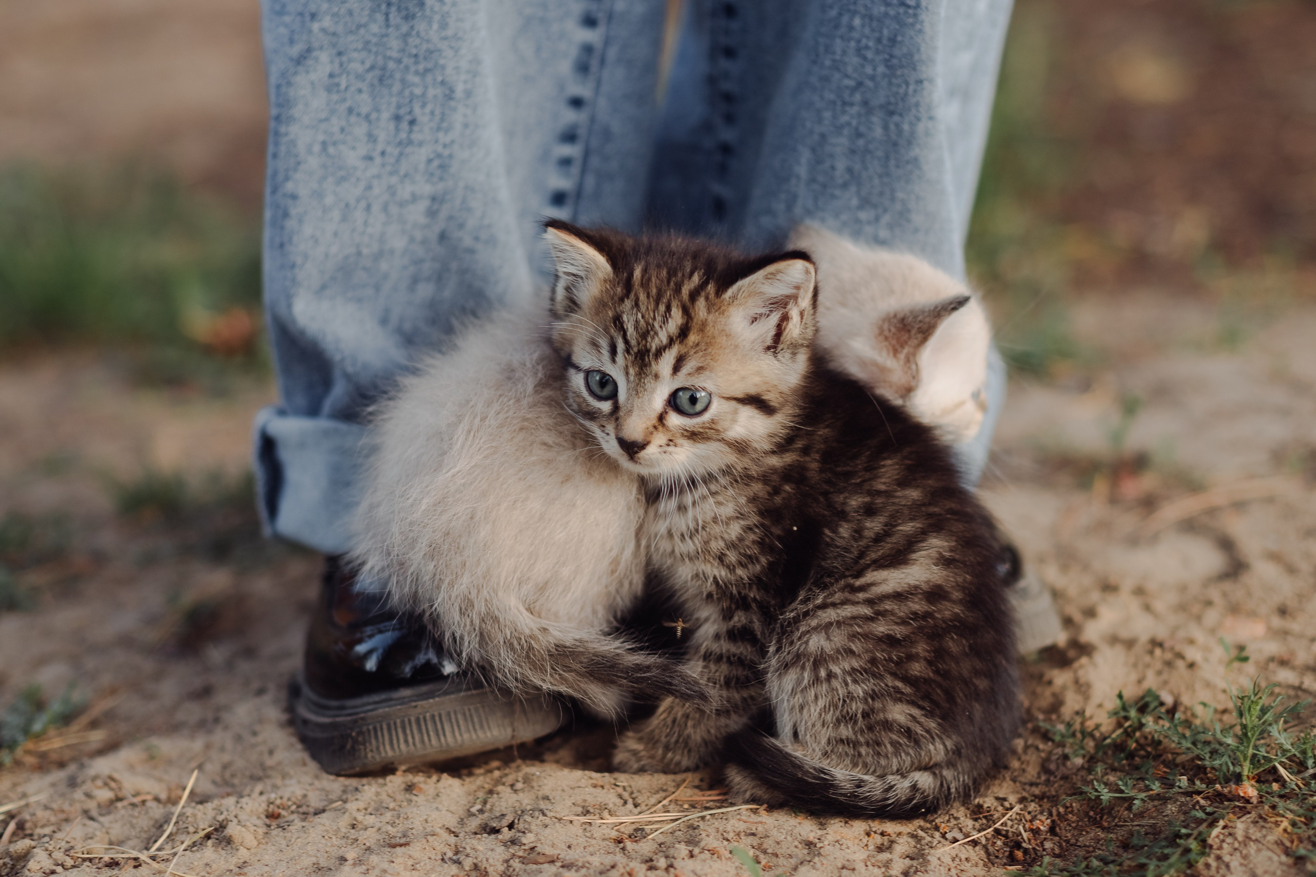 Майские прогулки. Фотограф в Томске Евгения Гуляева