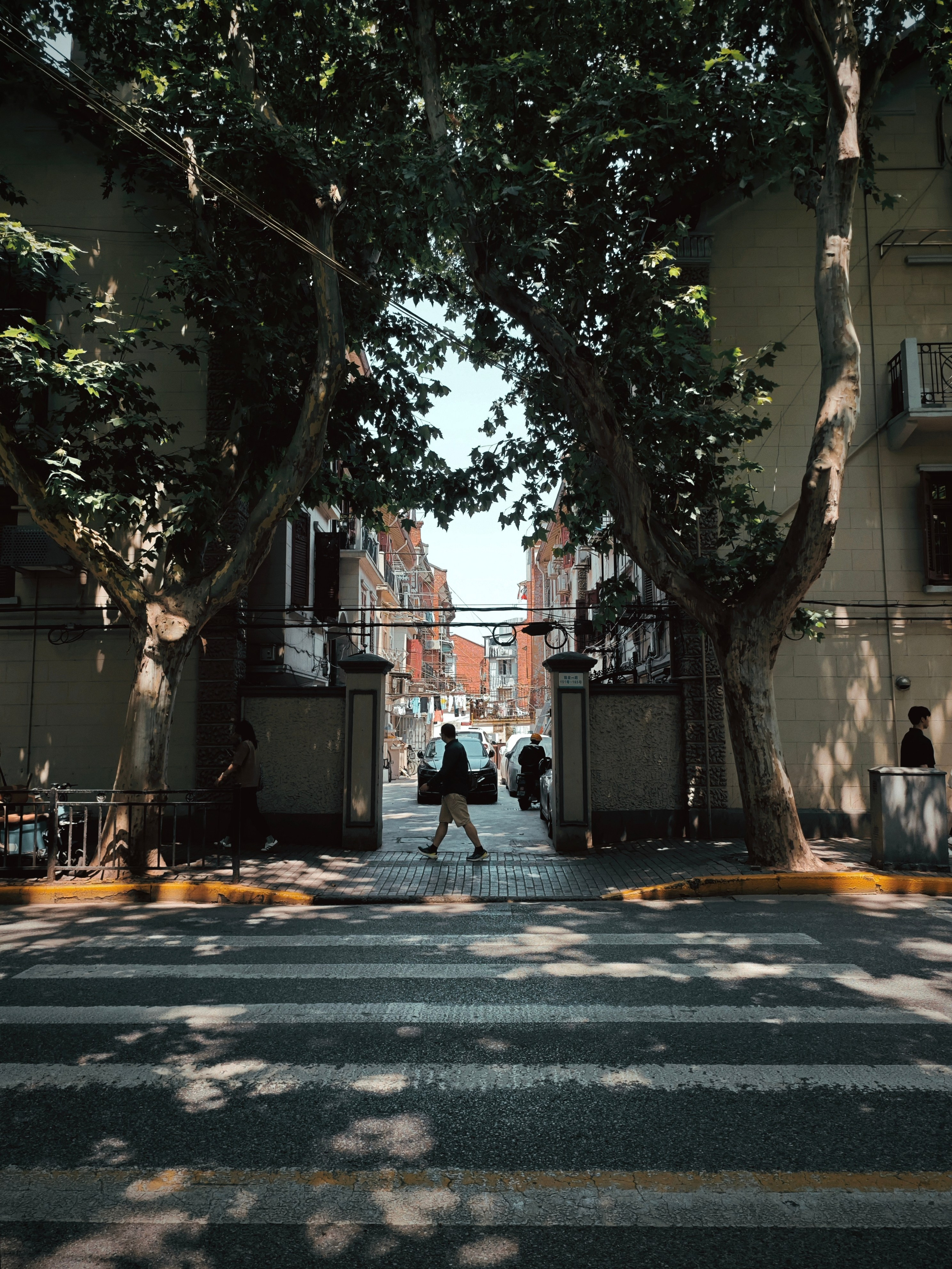 The Great Journey to China. Brjankin.com