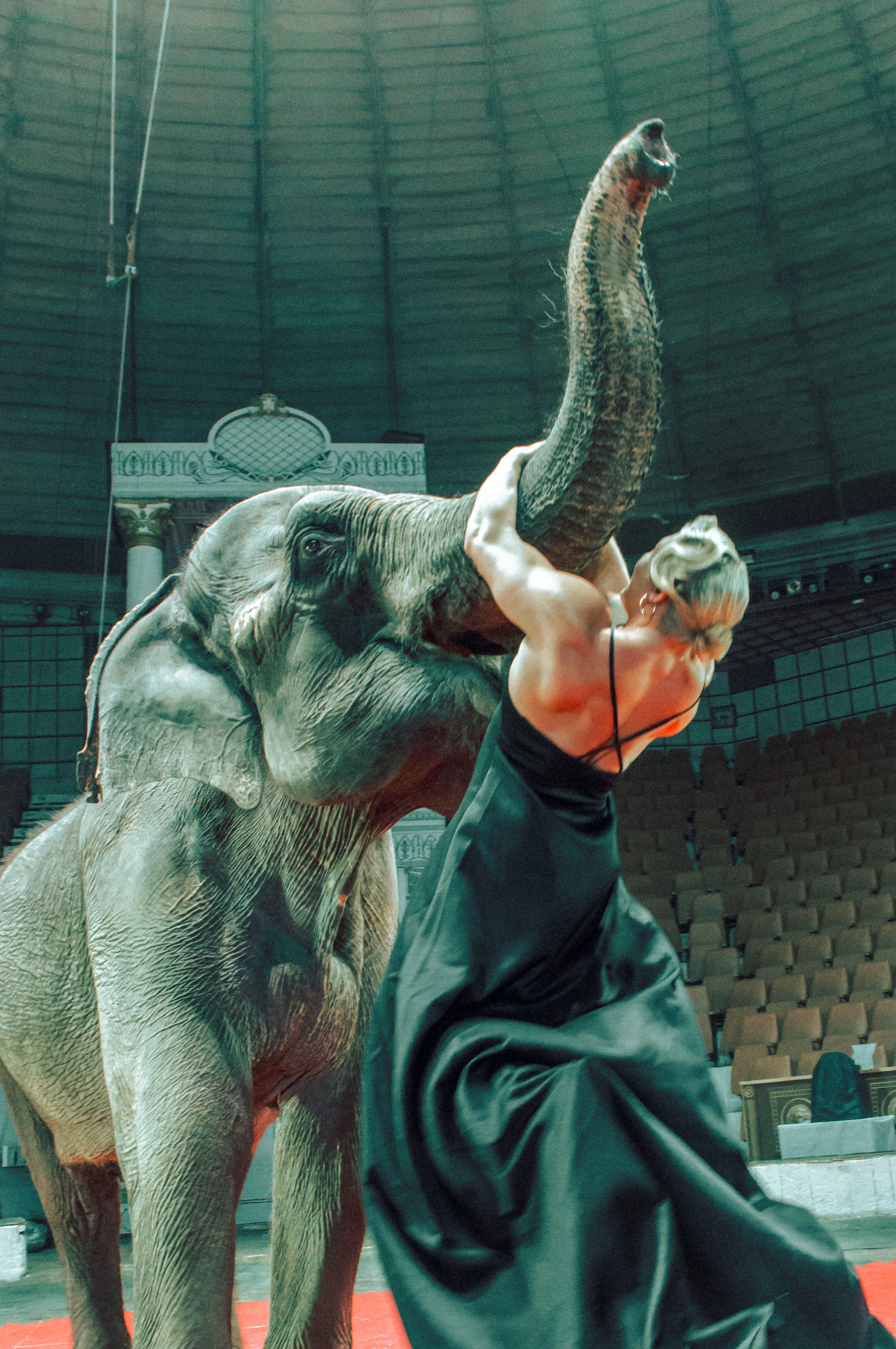 Екатерина. Главная