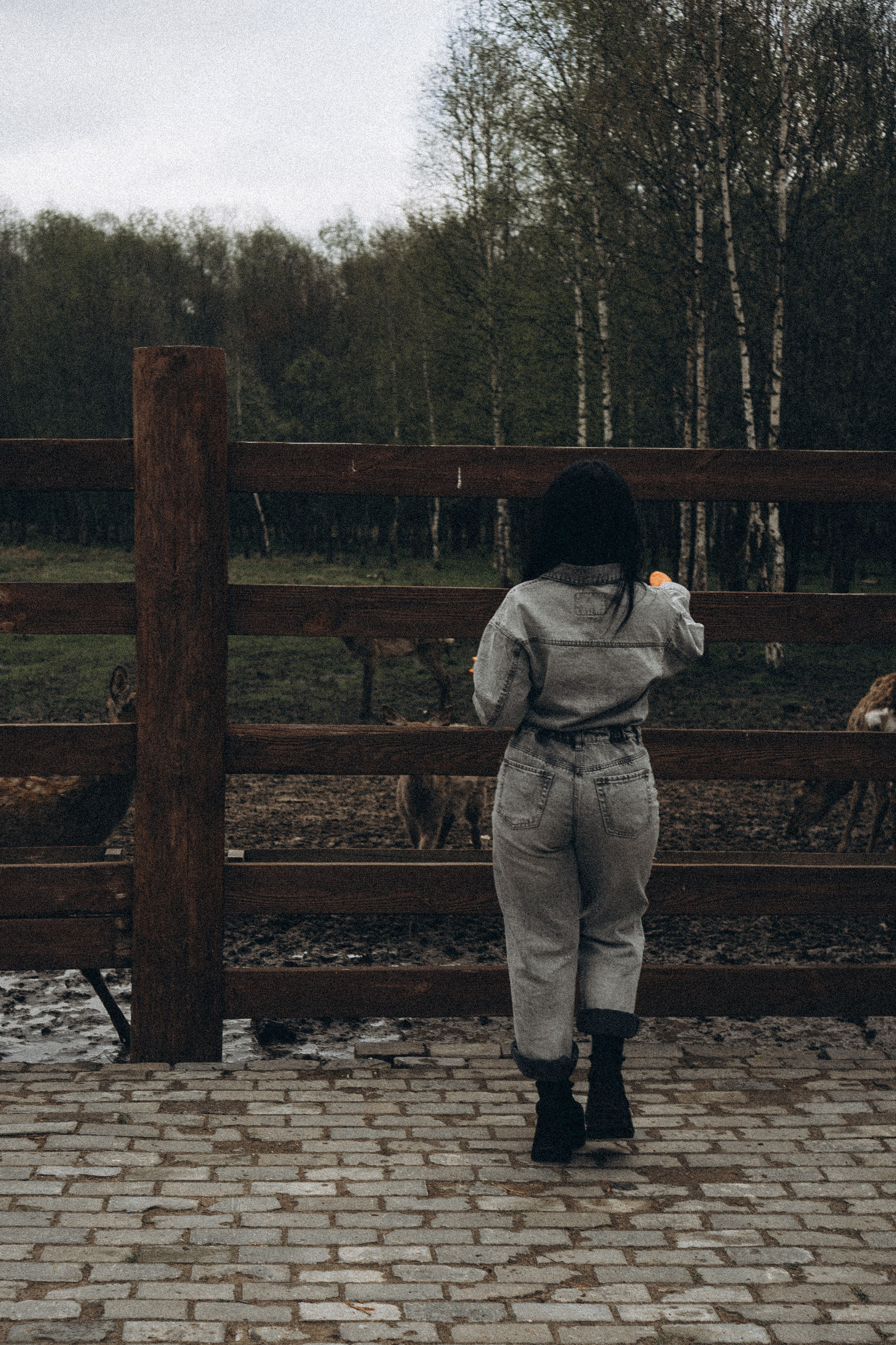 ОЛЕНЬЯ ФЕРМА В ТВЕРИ. Профессиональный фотограф, Санкт-Петербург — Виктория Богомолова