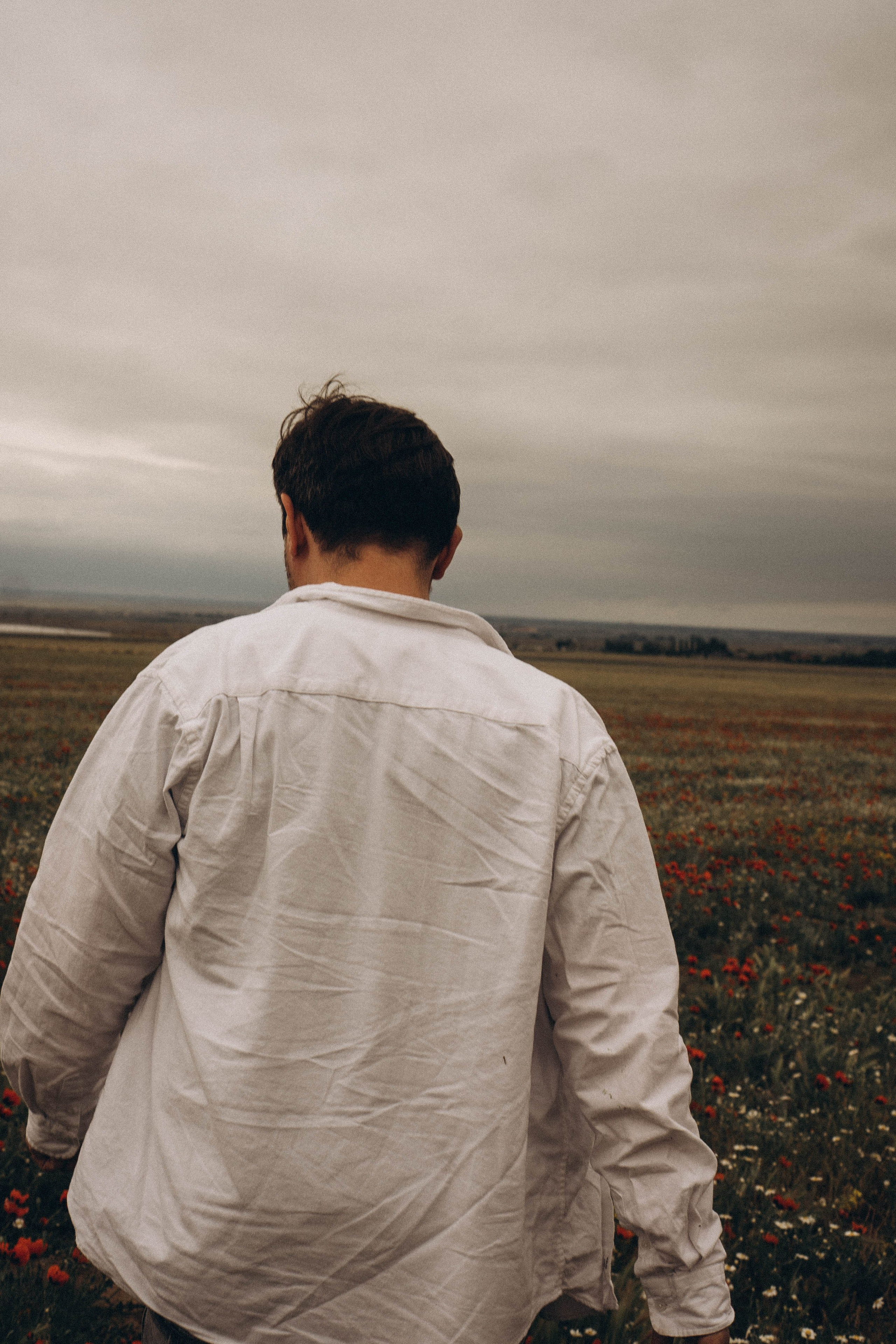 Маки. Профессиональный фотограф, Санкт-Петербург — Виктория Богомолова
