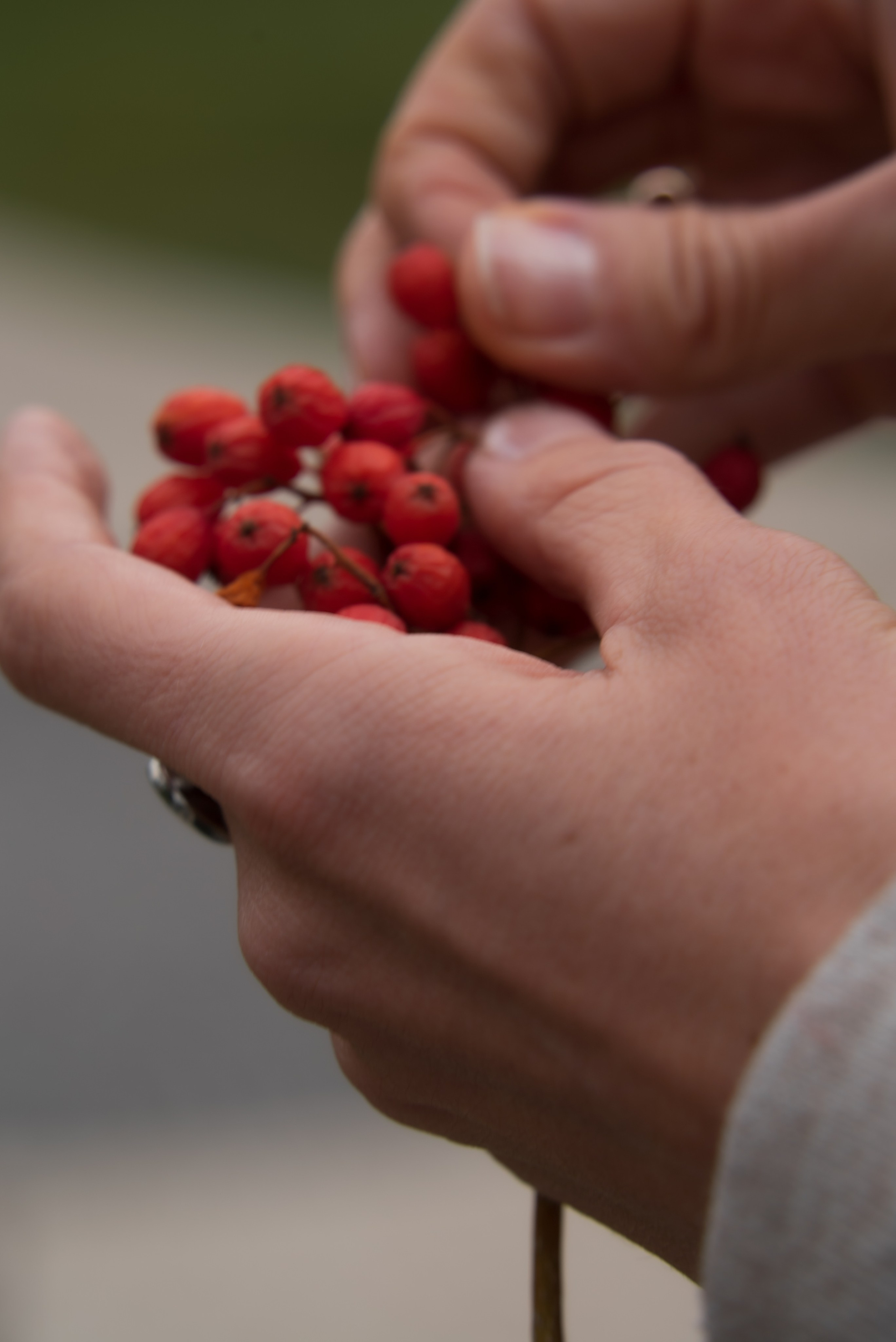 Золотая осень. Видеограф Осинина Татьяна — видеосъемка в Москве
