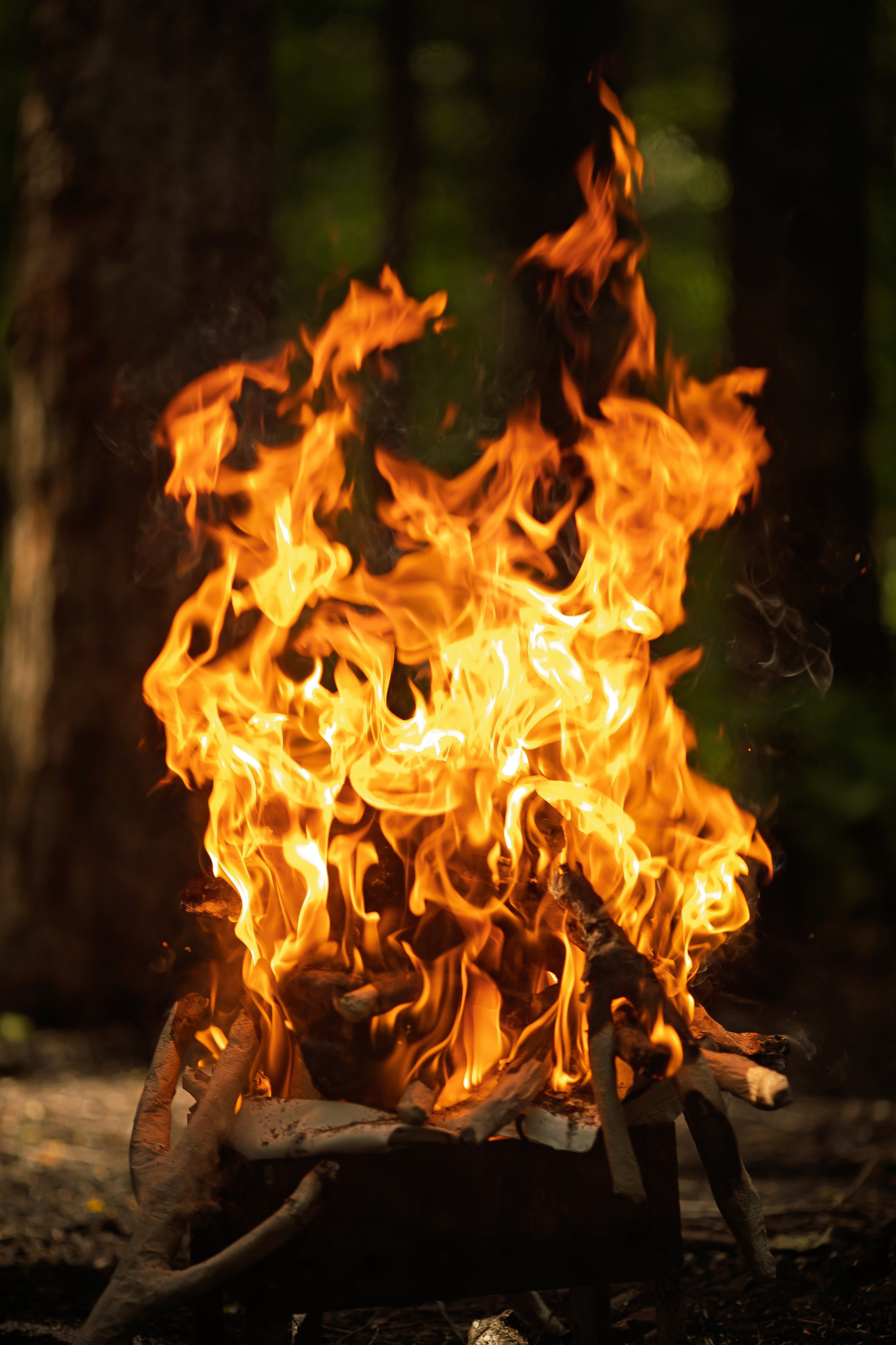 Фотопроект «Духи леса» — маски из папье-маше, свет и тишина природы. Фотограф Анна Грошикова — авторская съёмка на рассвете и закате в Москве, Мытищах, Солнечногорске и Московской области