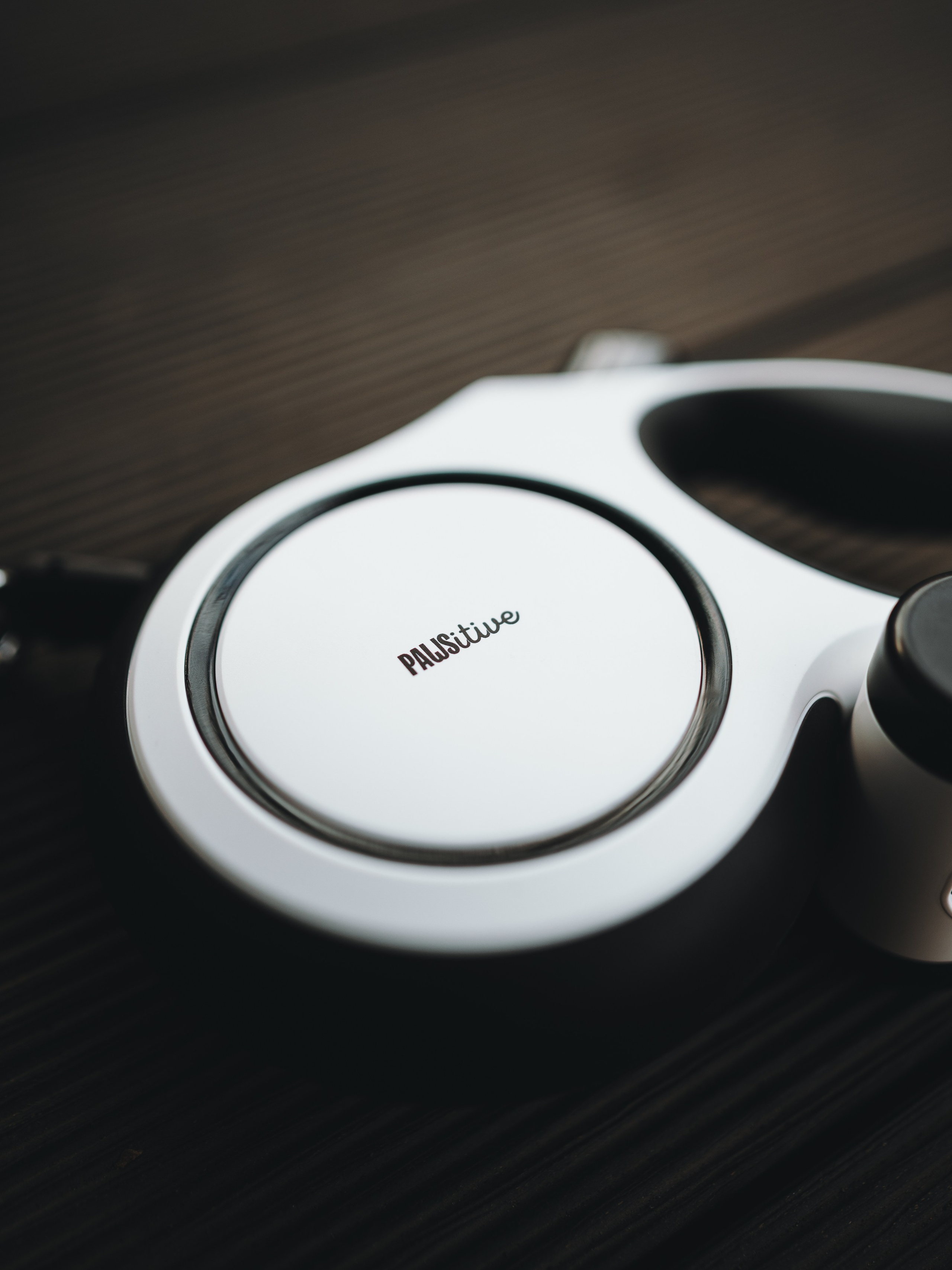 Pawsitive. Семейный фотограф анималист Ананьева Мария — Москва