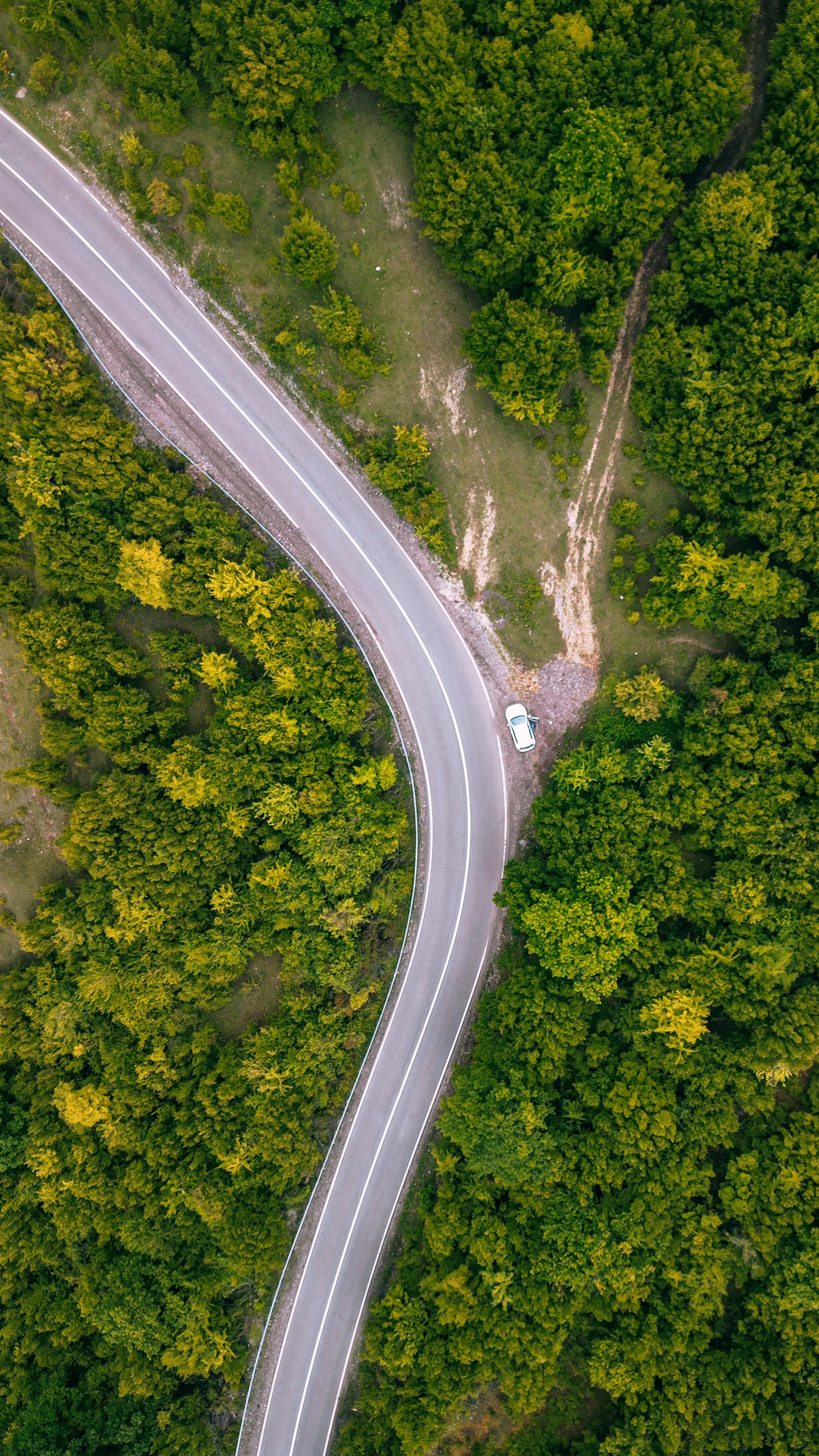 Грузия 2023. Человек с фотокамерой