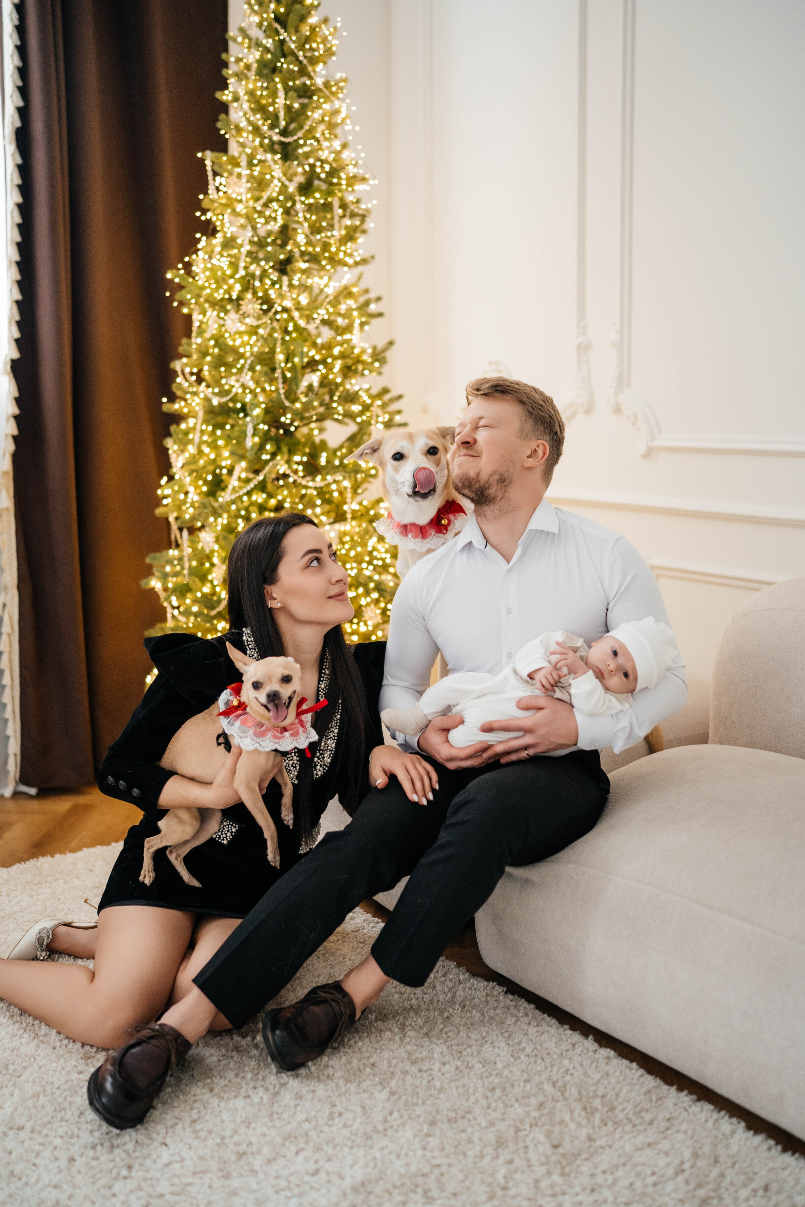 Съемки с животными. Https://instagram.com/ana.stasia.n