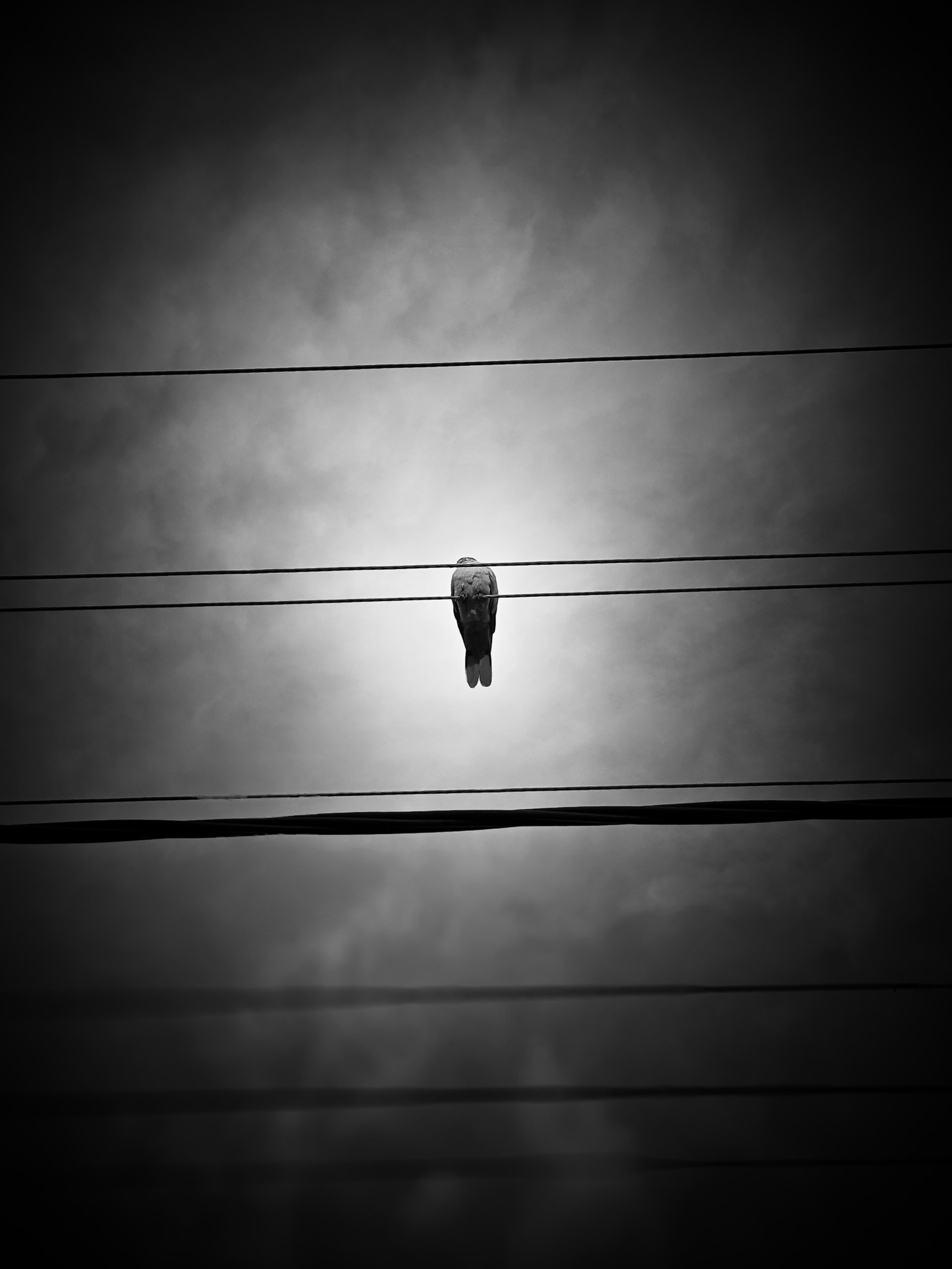 Пейзажи и уличная съёмка