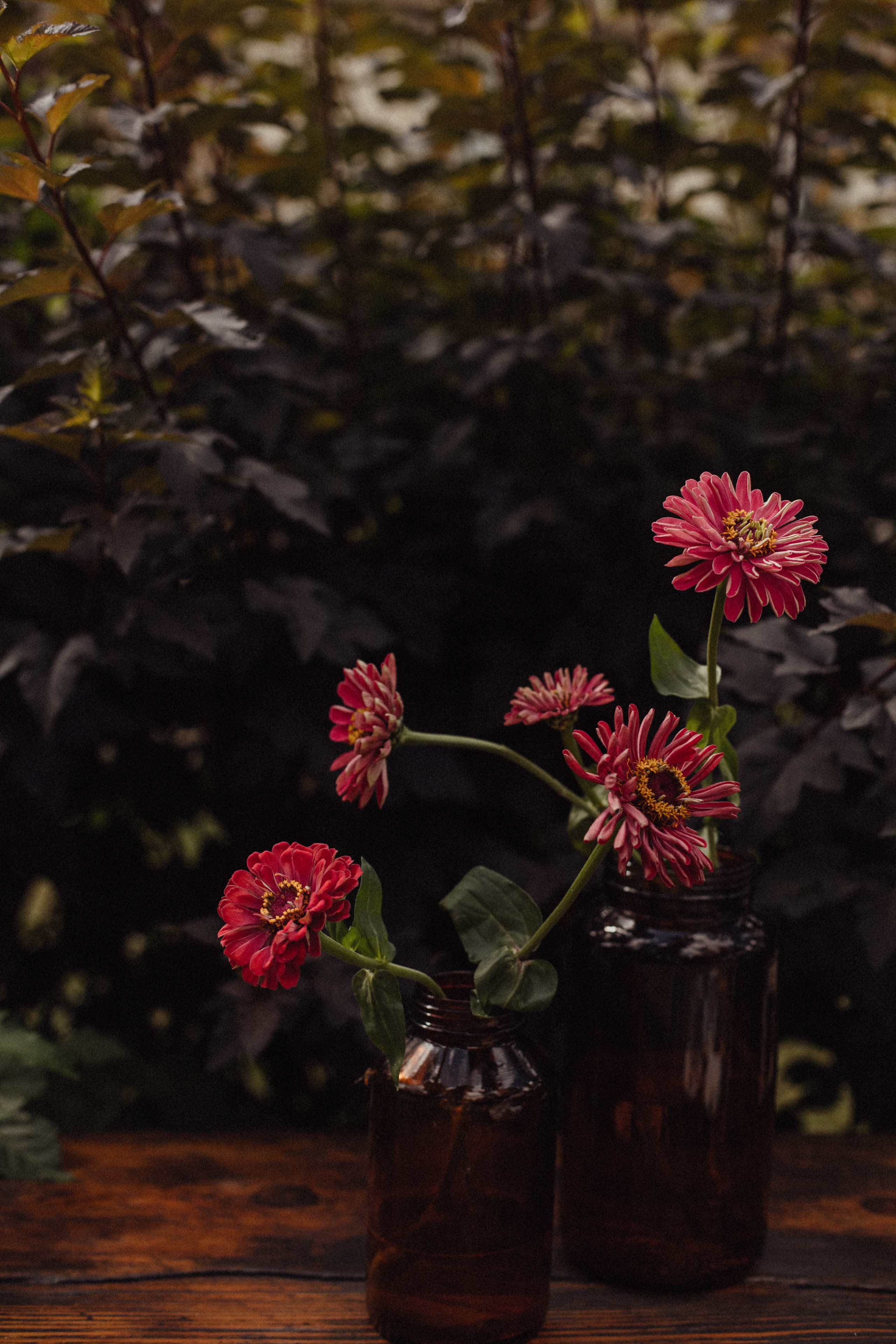 E & L. Свадебный фотограф Анастасия Пальчикова