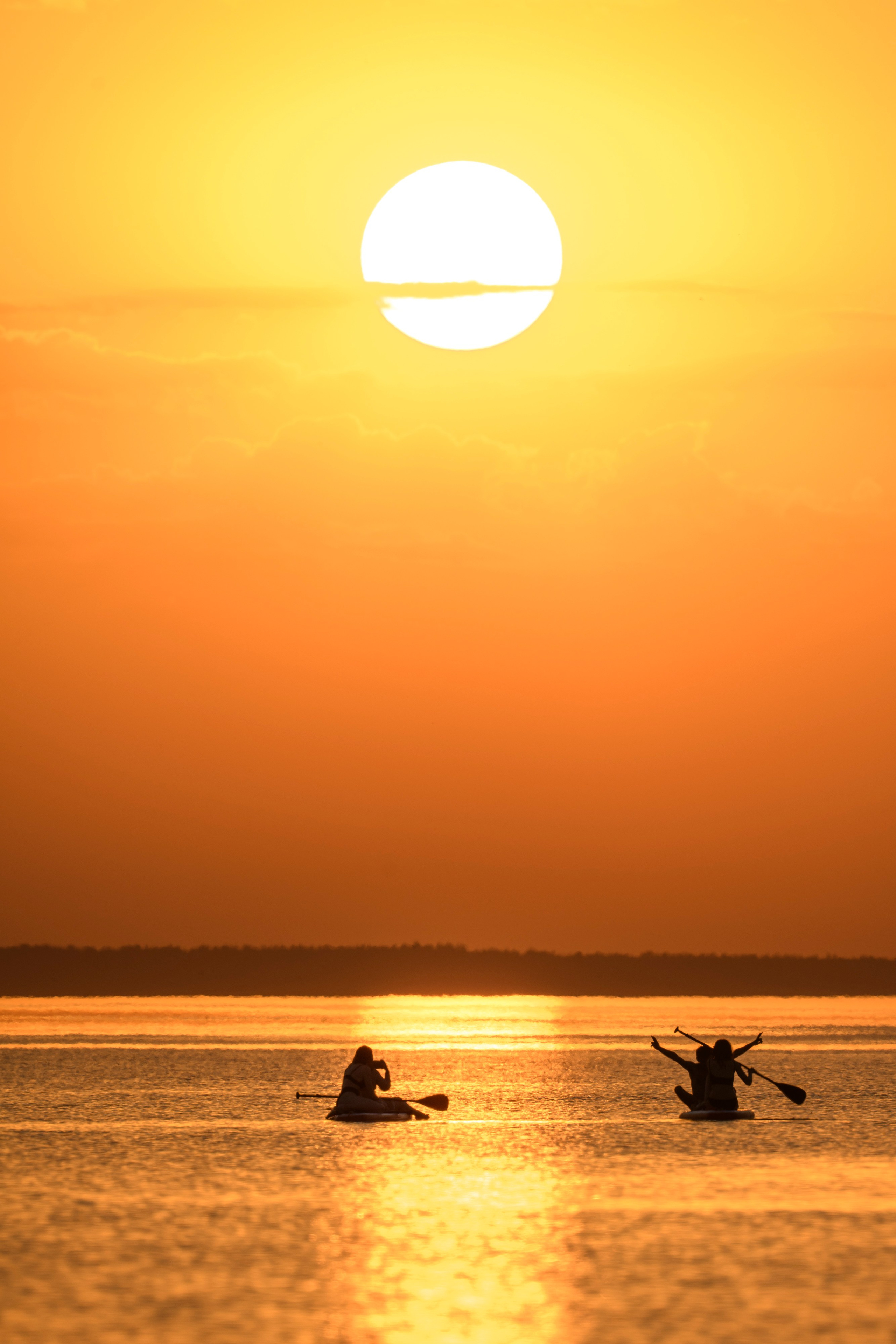 Переславль-Залесский. Wildlife photography by Sergey Puponin