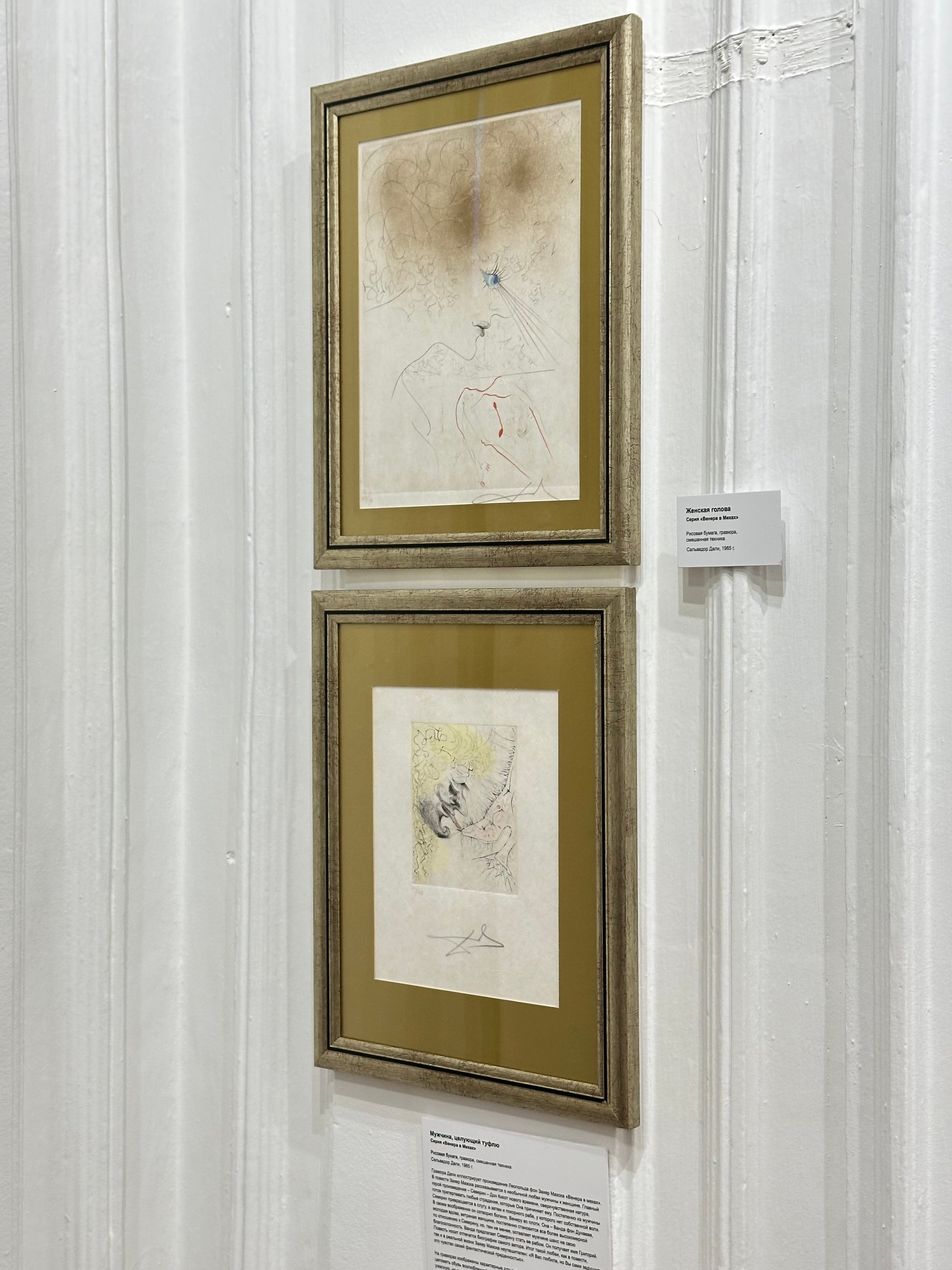 Выставка Дали & Пикассо. Фотосессии и репортаж — Фотограф в Москве — Рина Серёгина