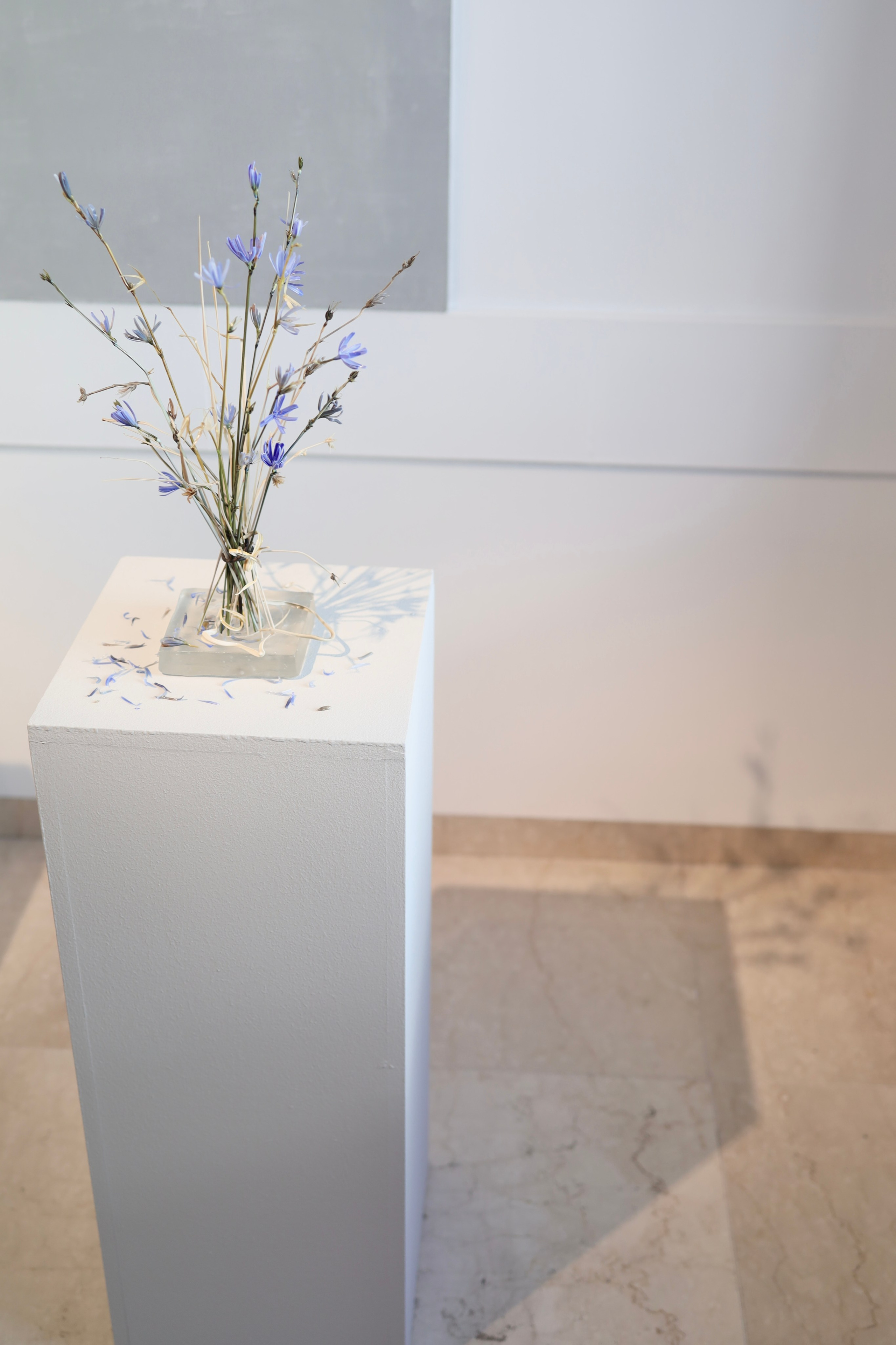 Выставка Степени прозрачности. Фотосессии и репортаж — Фотограф в Москве — Рина Серёгина