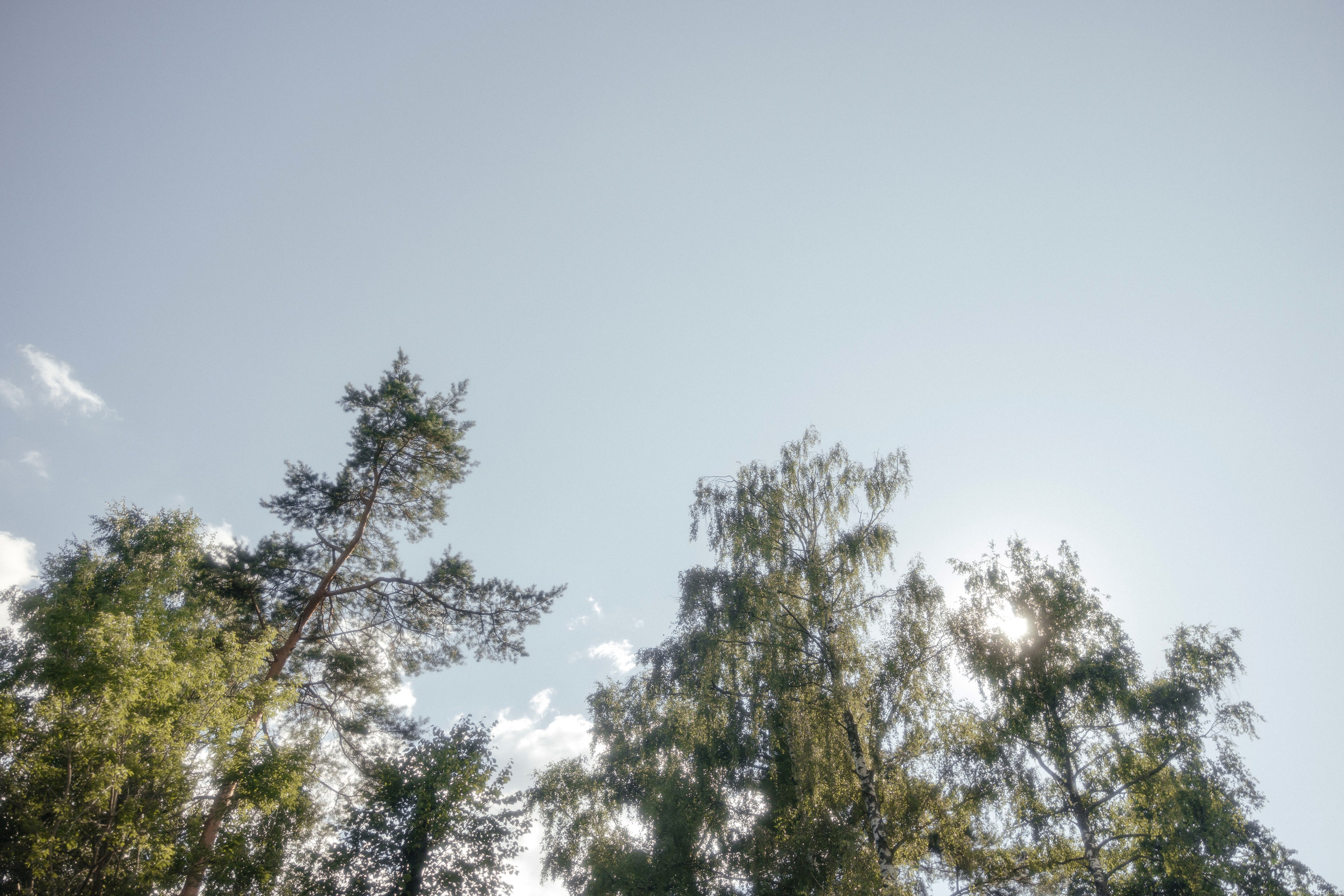 «мысли о тебе». Свадебный фотограф в Москве