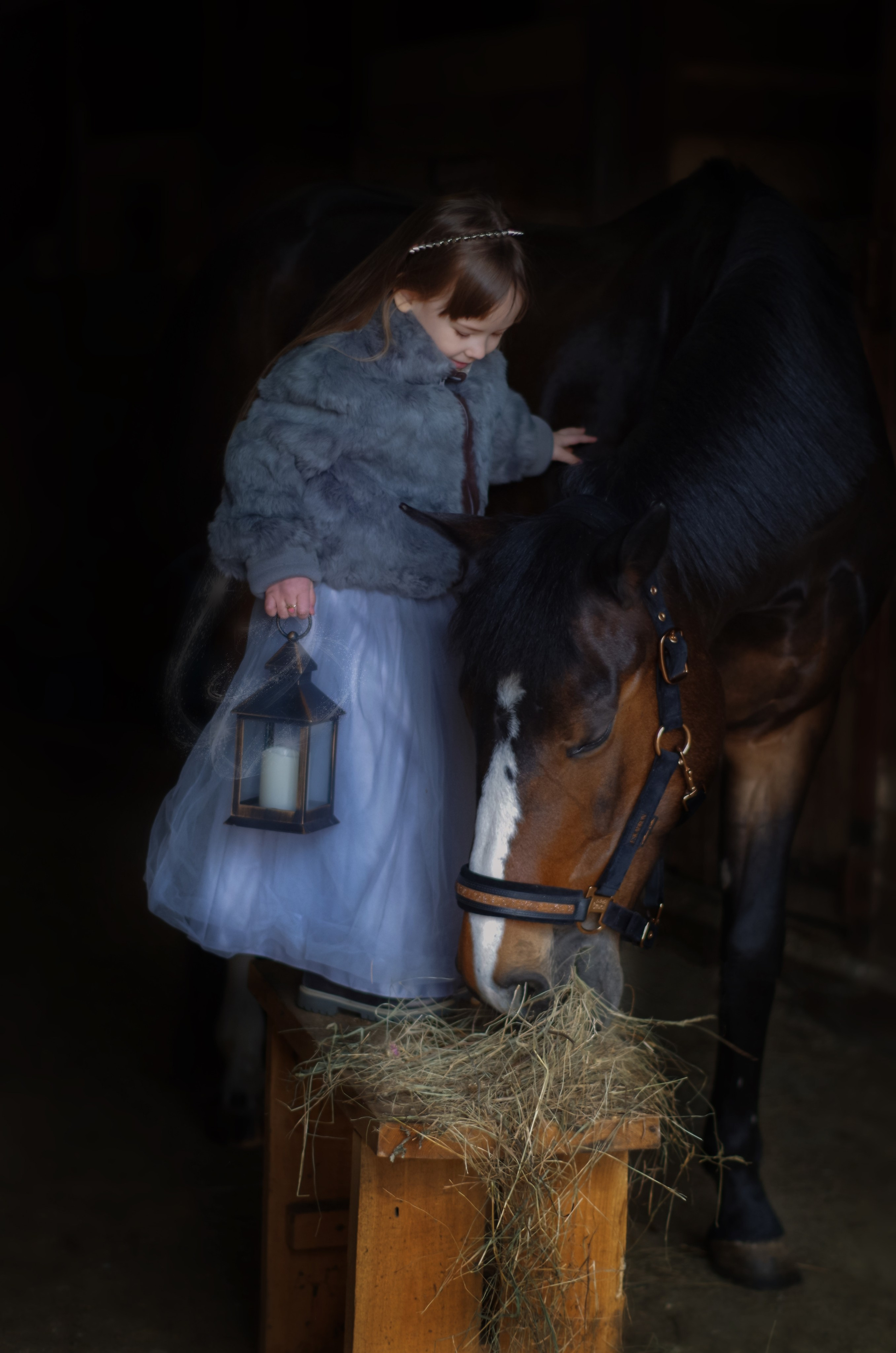 Фотограф Марина Доглядная Челябинск фотосессии с лошадьми, мотоциклами