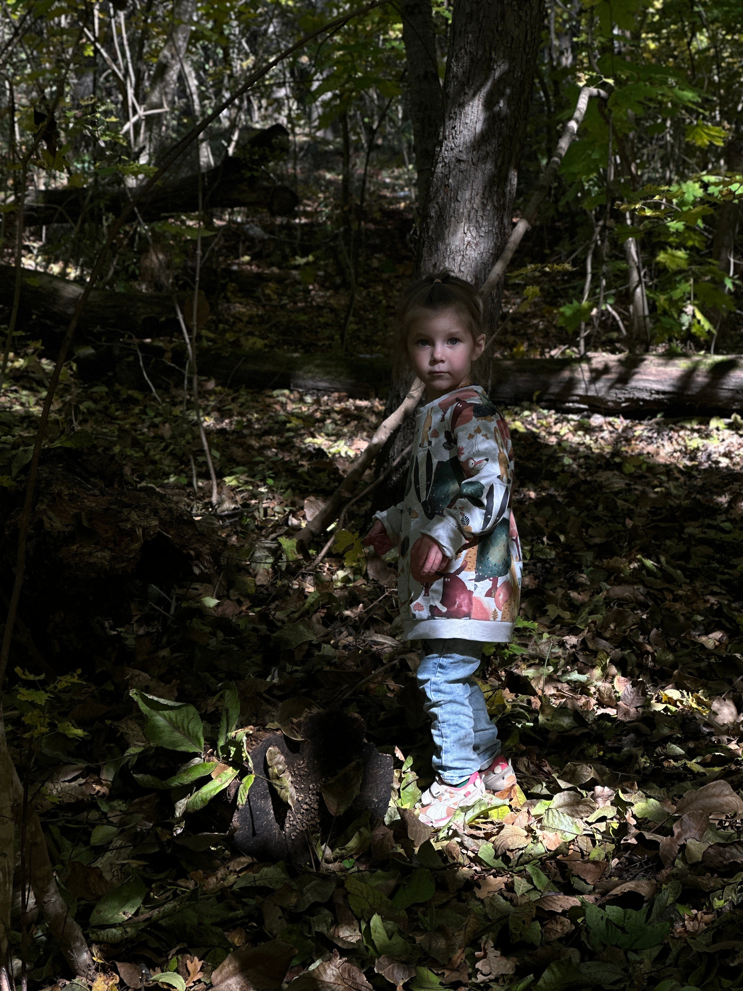 Дети. Смотри, красота!