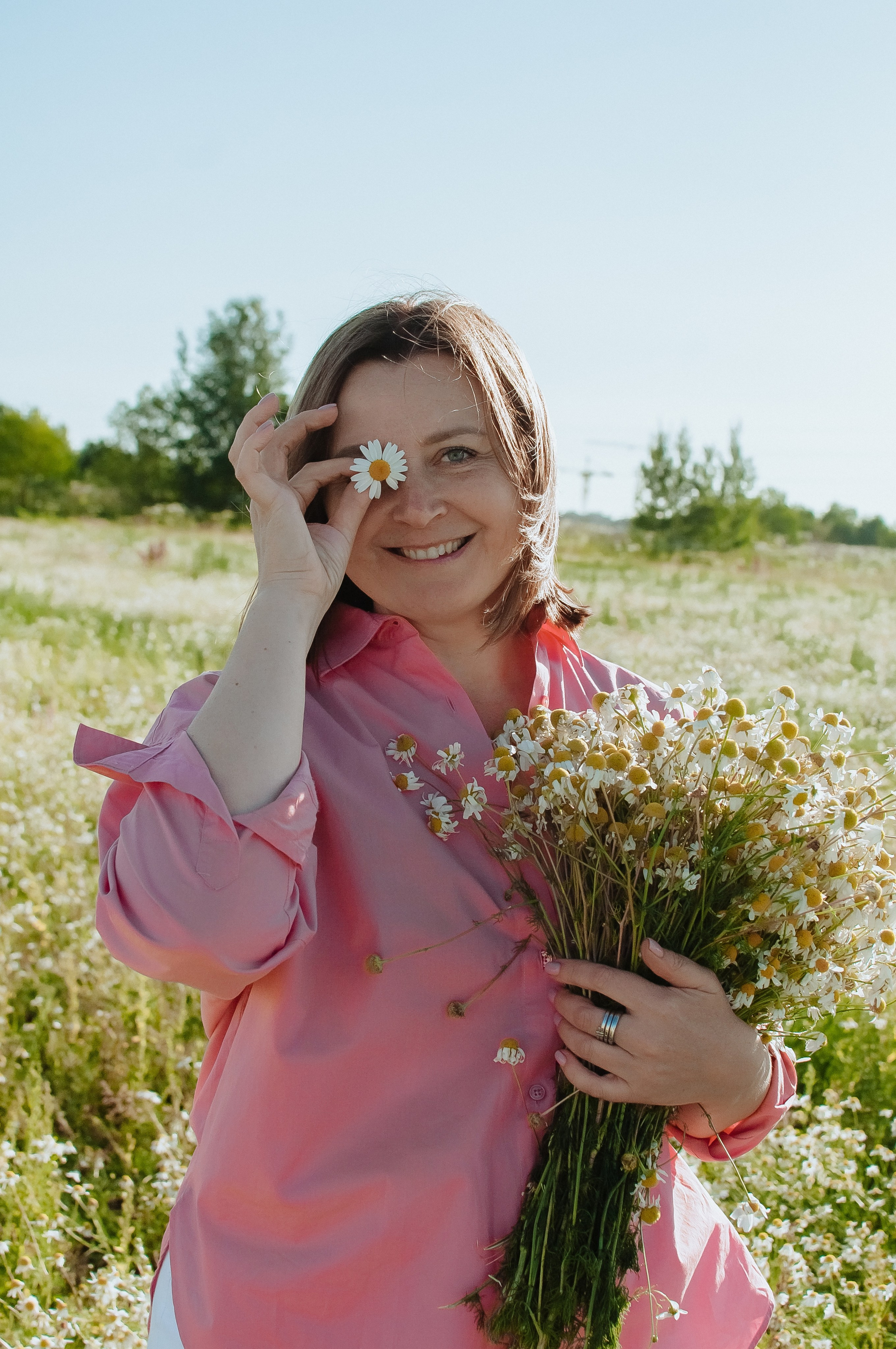 Привет ромашки