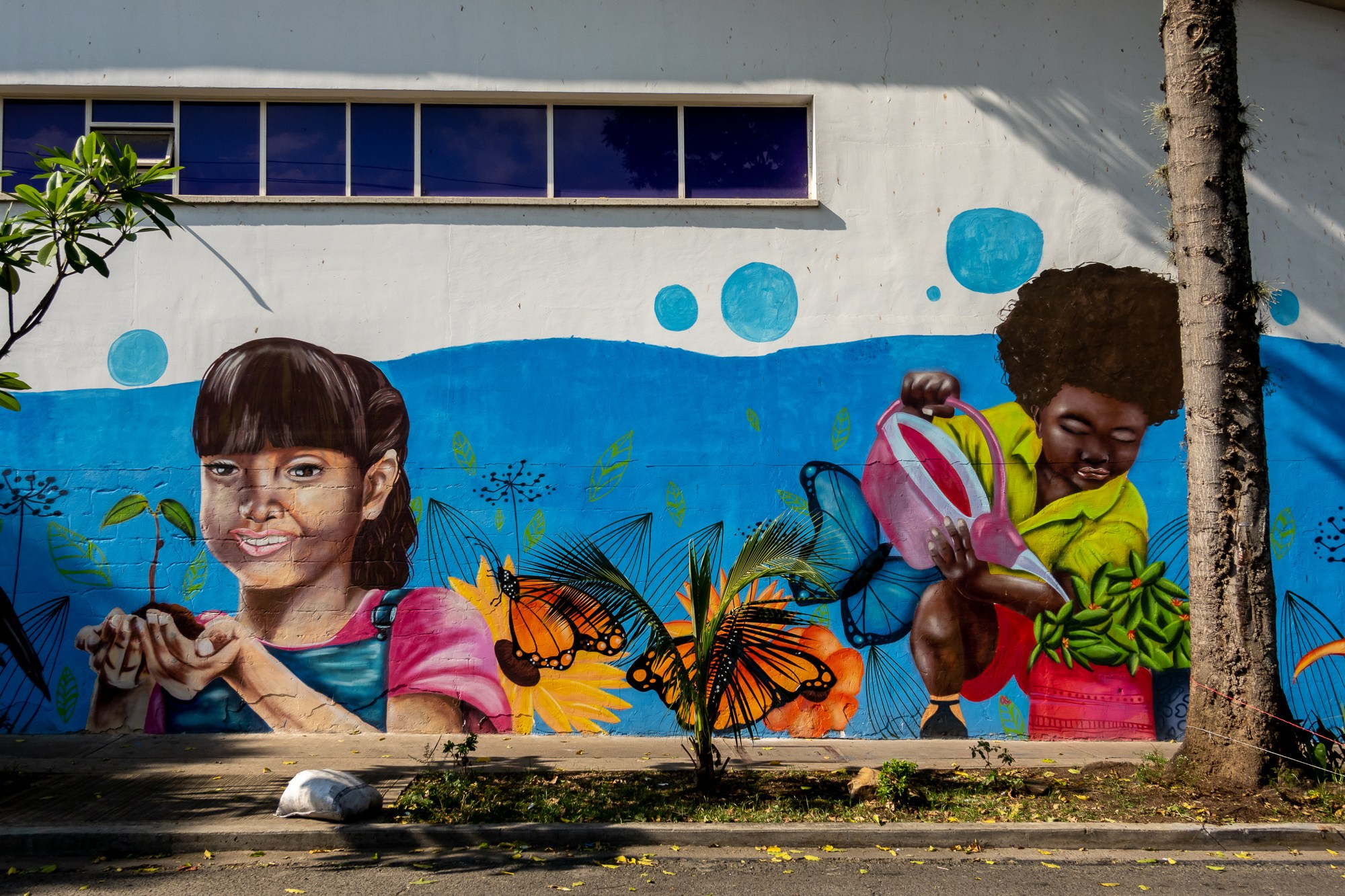 Фотограф Алексей Скоробогатько. Колумбия, г. Кали. Photographer Alexey Skorobogatko. Cali, Colombia. Фотограф Алексей Скоробогатько