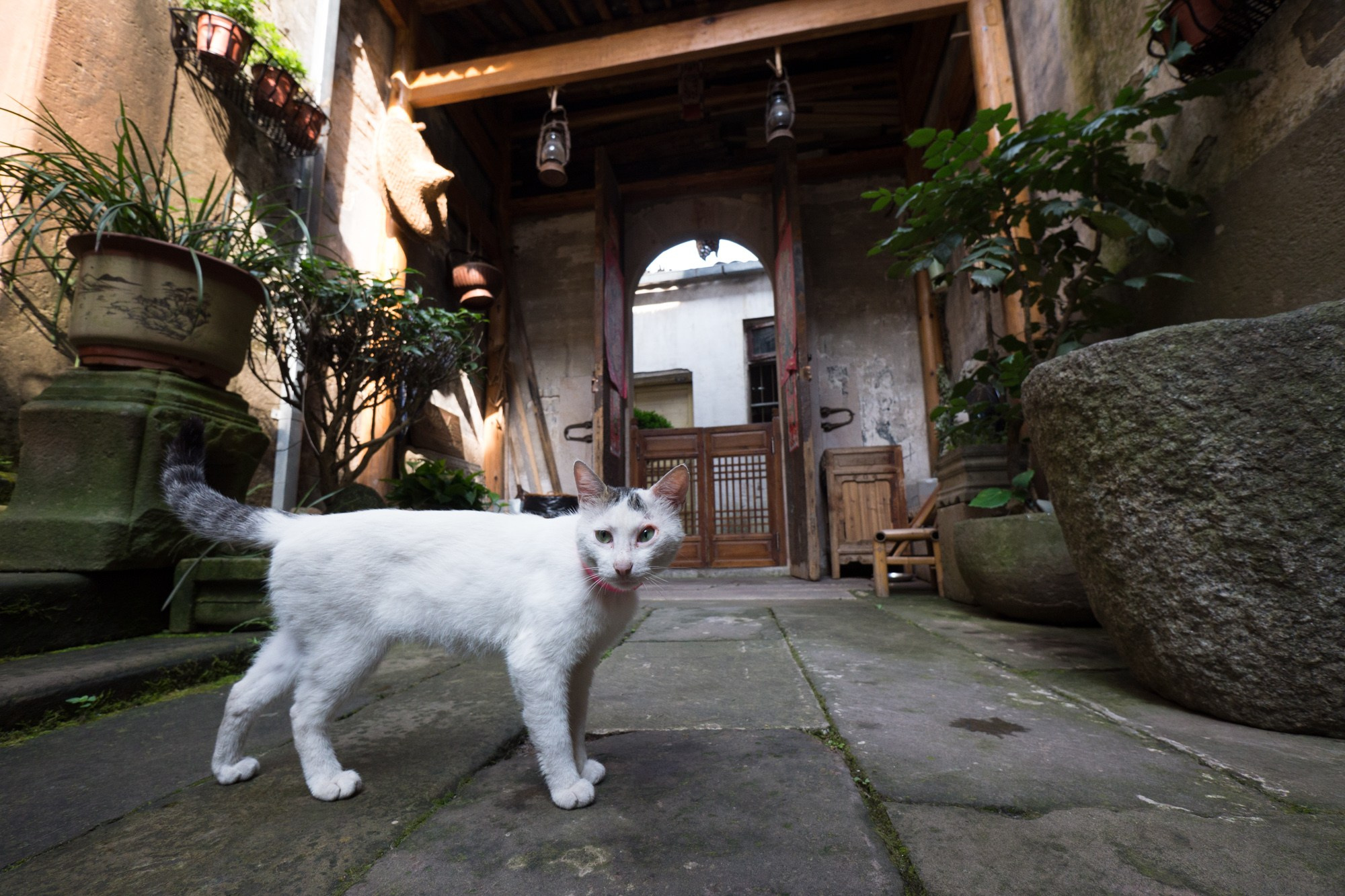 Фотосъёмки в Китае. Фотограф Алексей Скоробогатько