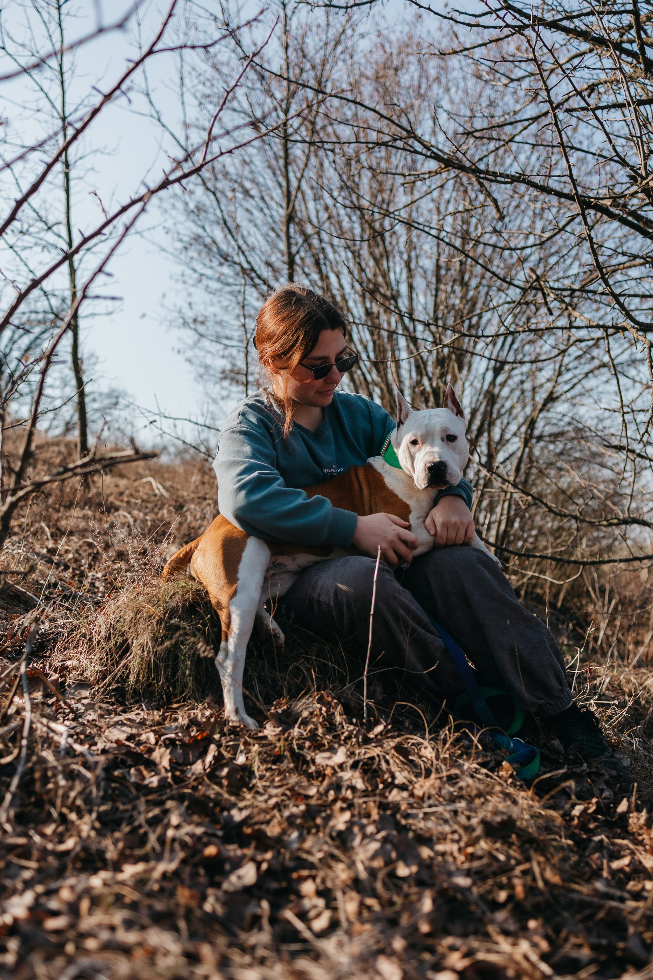 Лера, Ума и Винни. Фотограф — анималист Светлана Кысса|фотограф собак в Краснодаре и Нижнем Новгороде