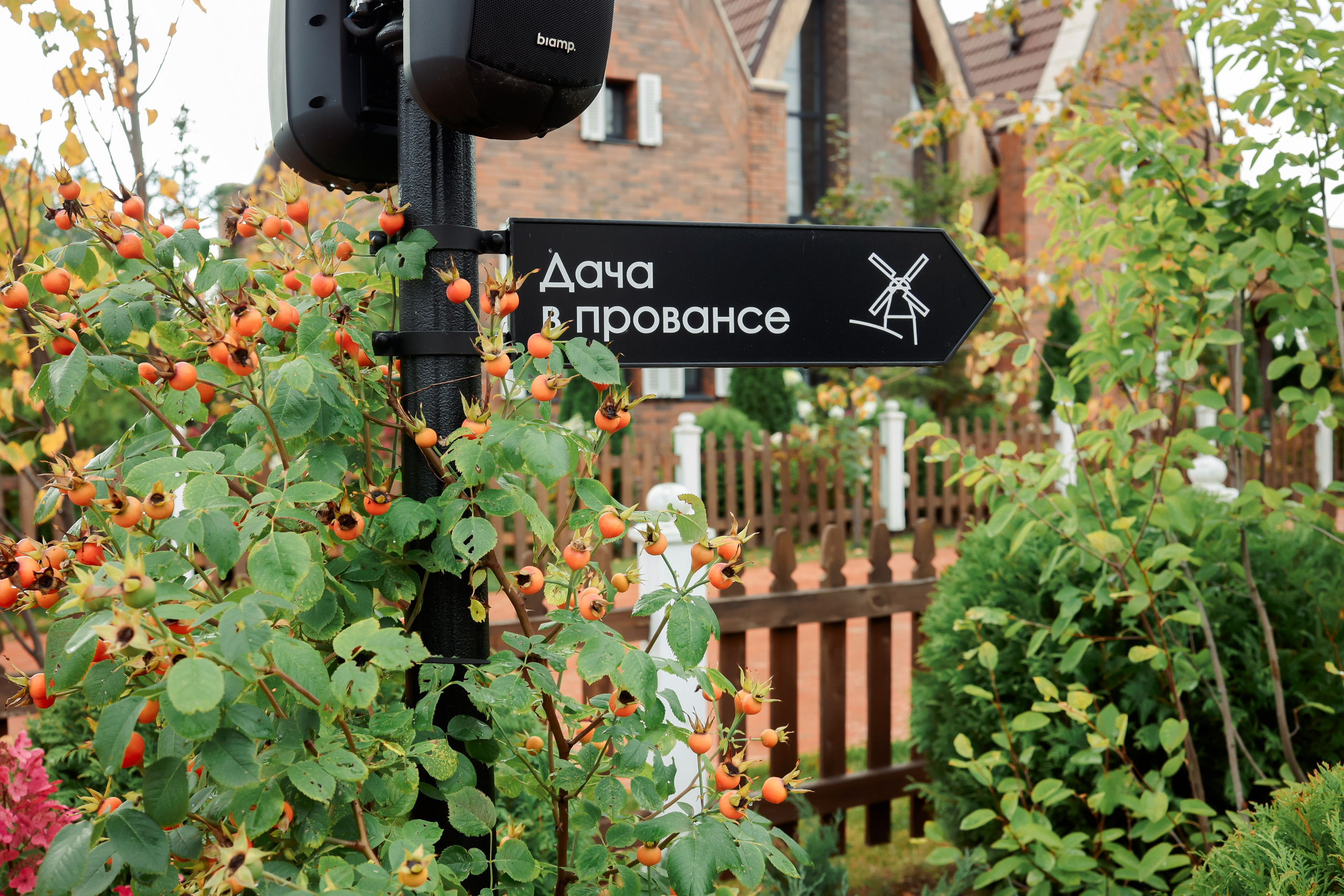 Саша и Полина. Фотограф на Новой риге и в Москве Елена Елис