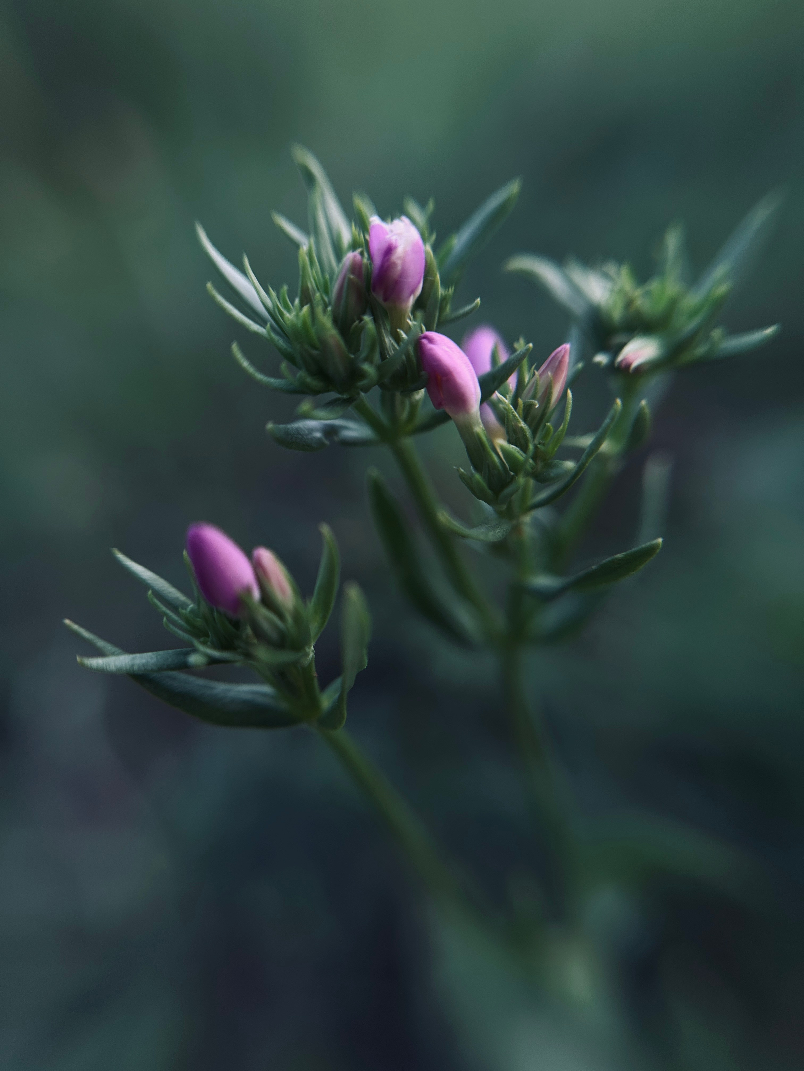Флора и фауна. Смотри, красота!