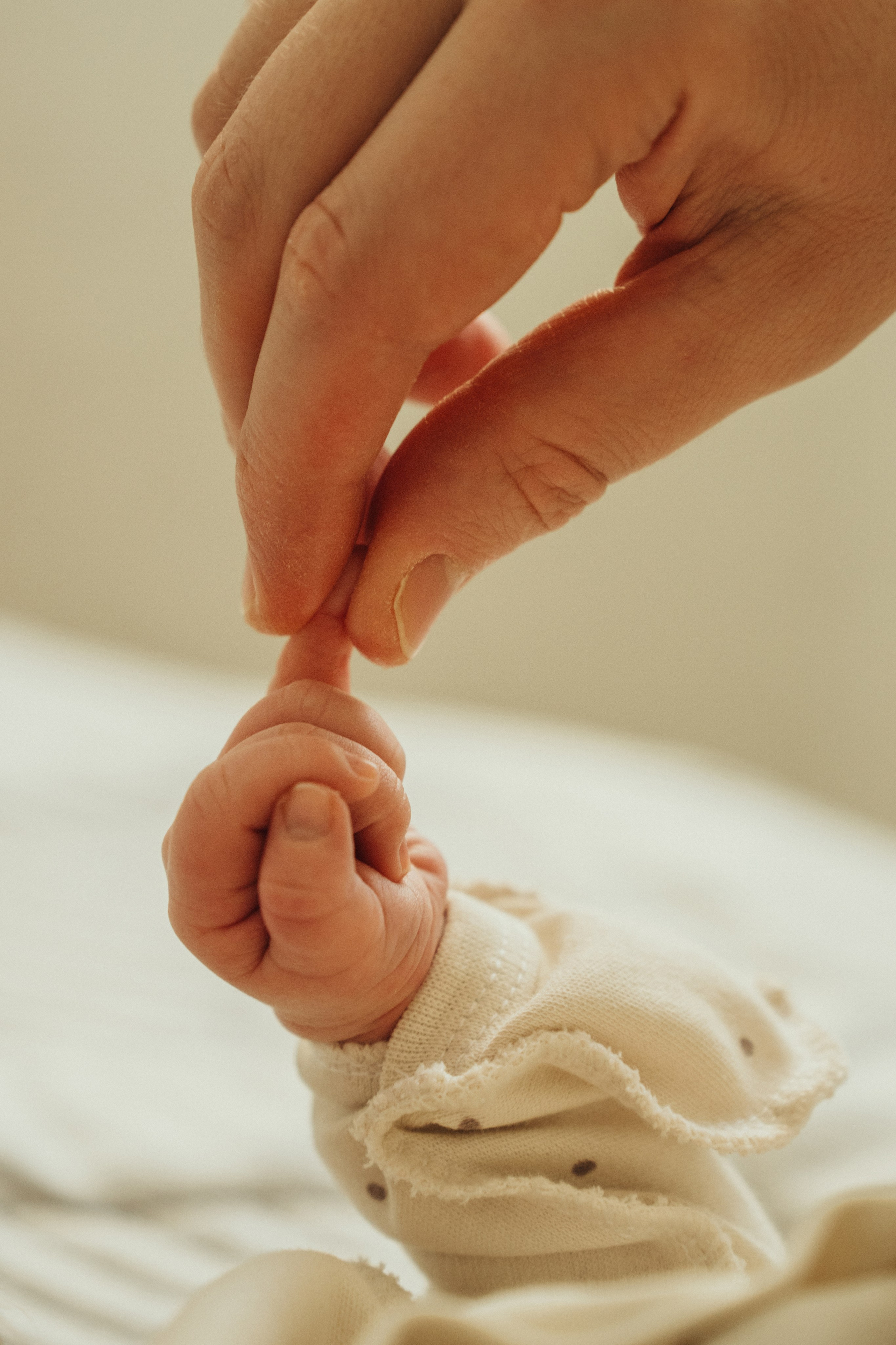 Александр, Мария и Павлуша