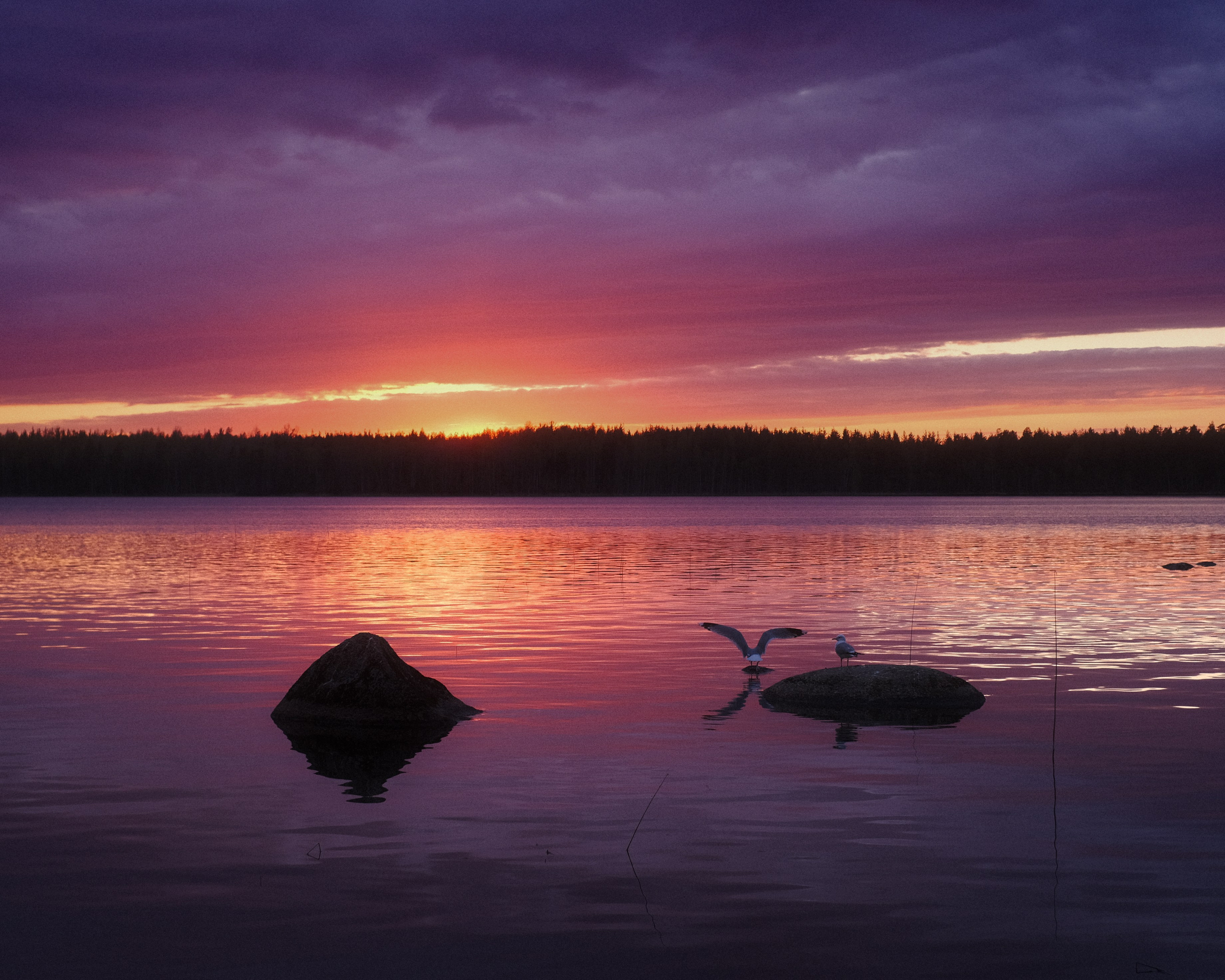 Весеннее заходское