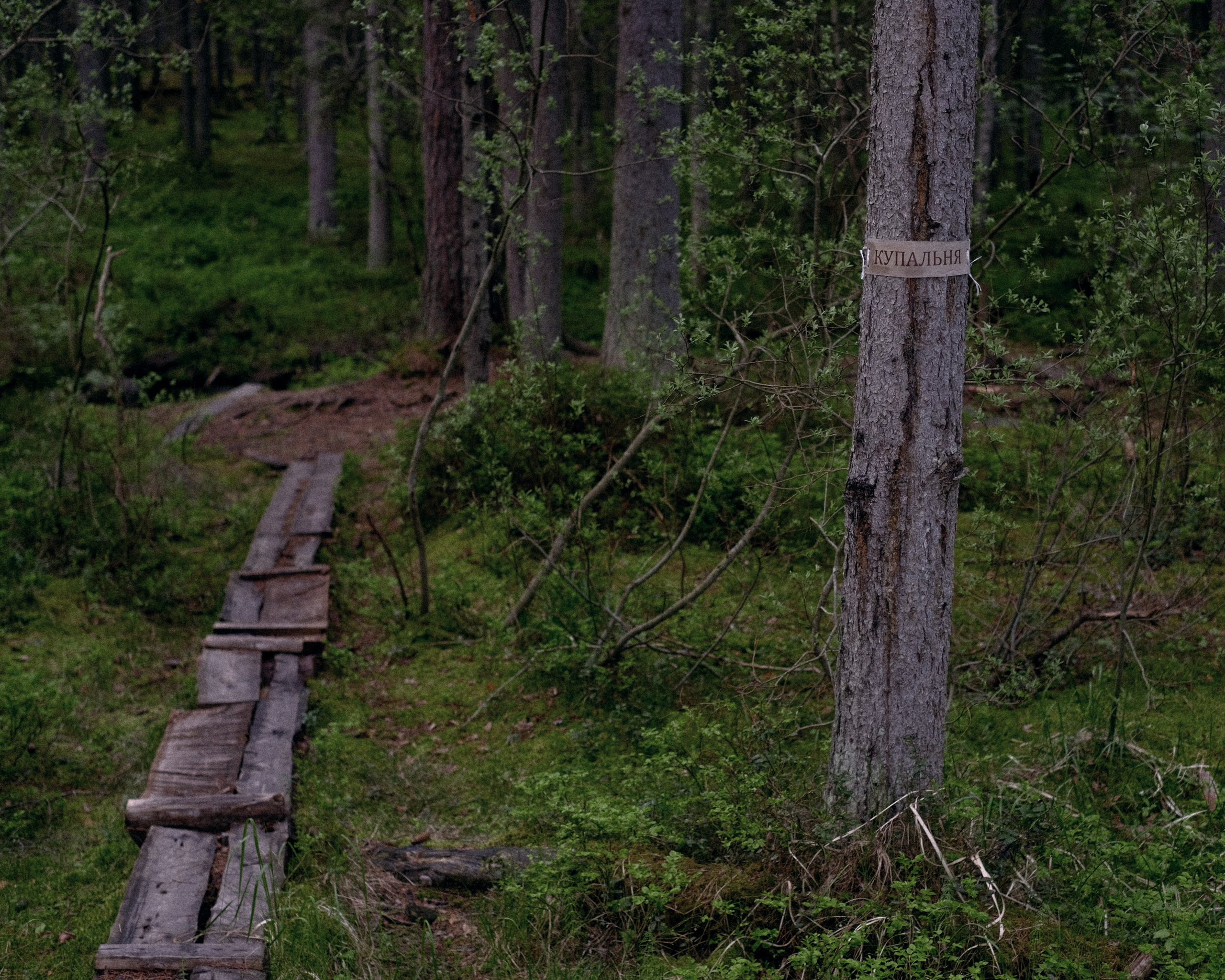 Орехово | май 2025