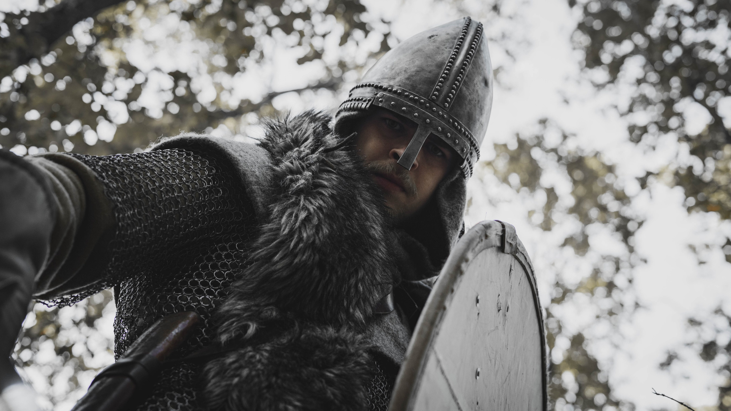 Викинг. Ab extra