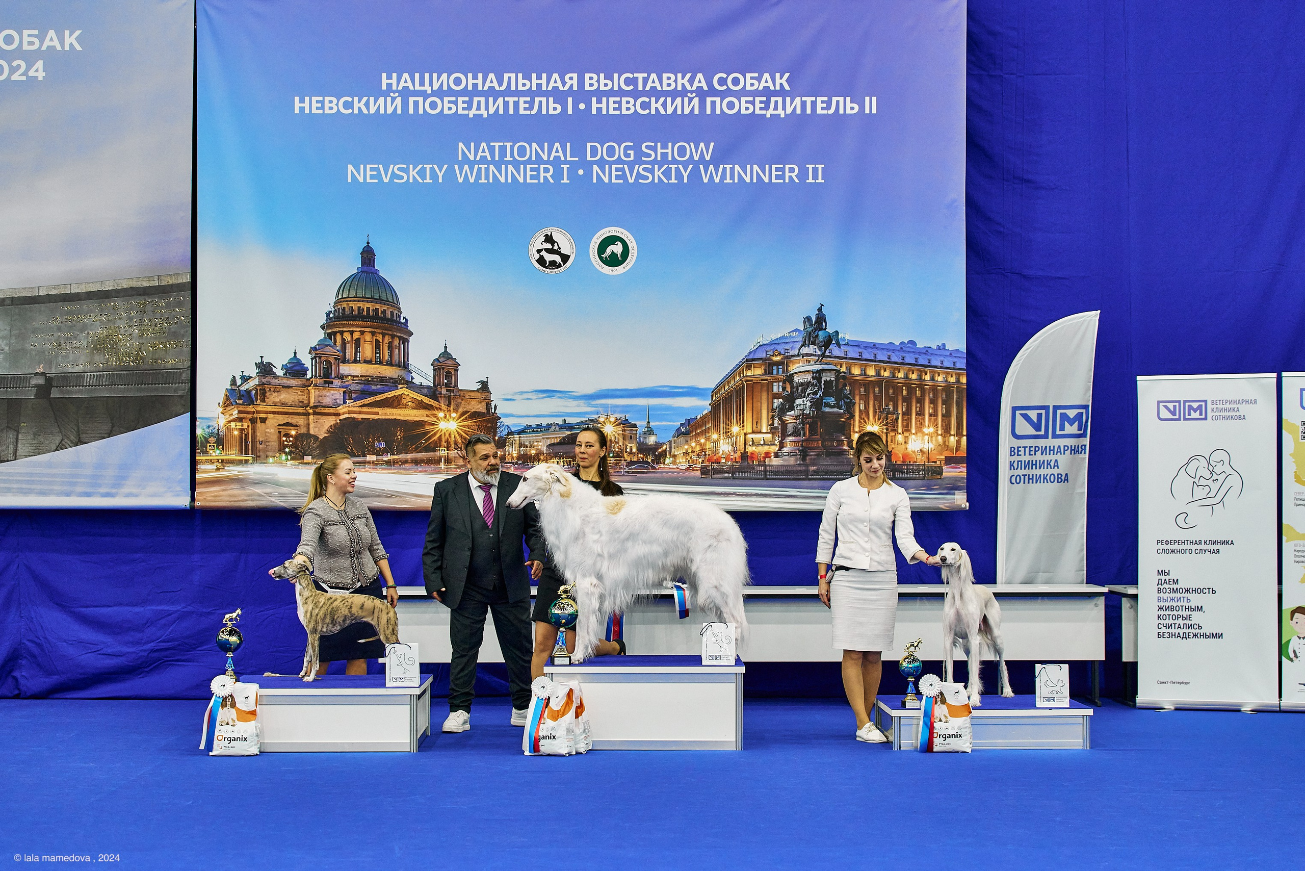 РЕЙТИНГОВАЯ ВЫСТАВКА СОБАК ВСЕХ ПОРОД С ОСОБЫМ СТАТУСОМ"НЕВСКИЙ ПОБЕДИТЕЛЬ-2024-2"