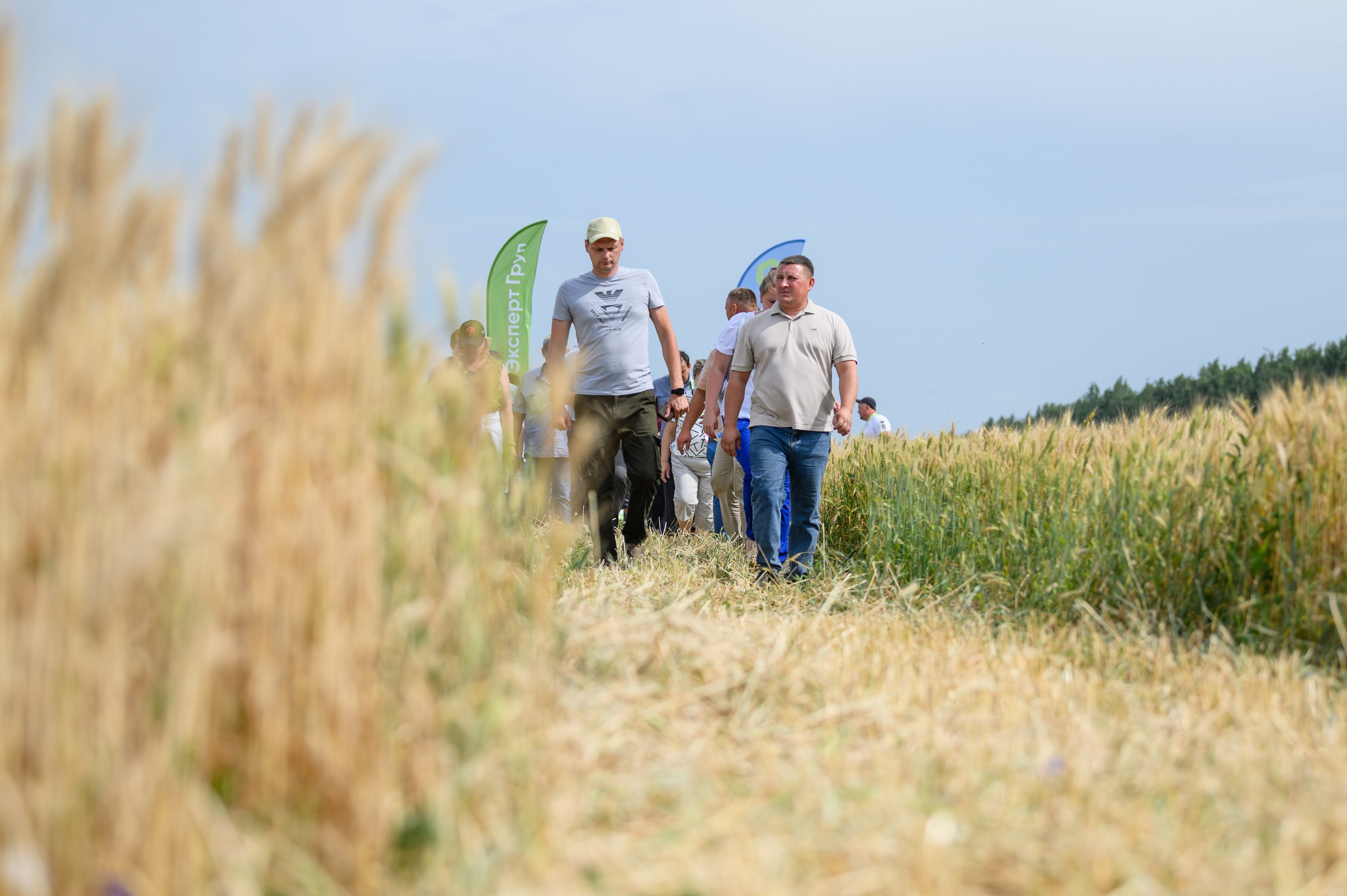 Проекты. Профессиональный фотограф Вячеслав Плацында | Липецк |