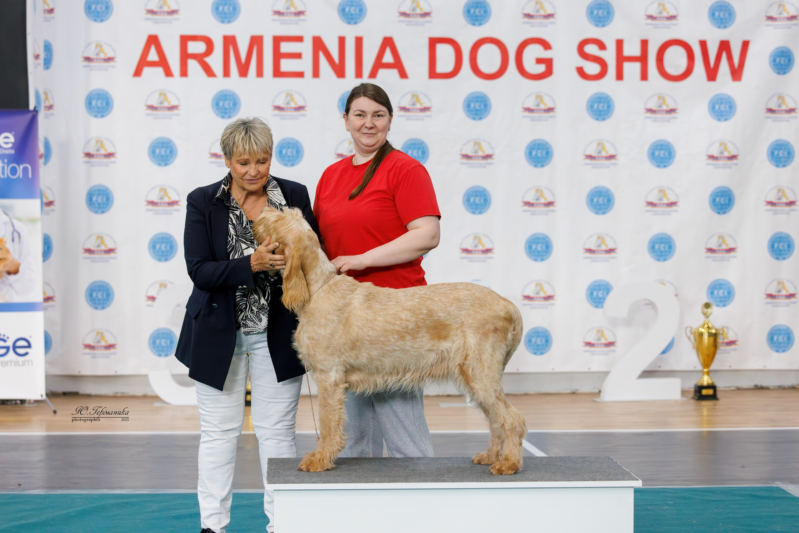 Ереван 2х CACIB 29-30.04.2025. Фотограф-анималист Юлия Германика