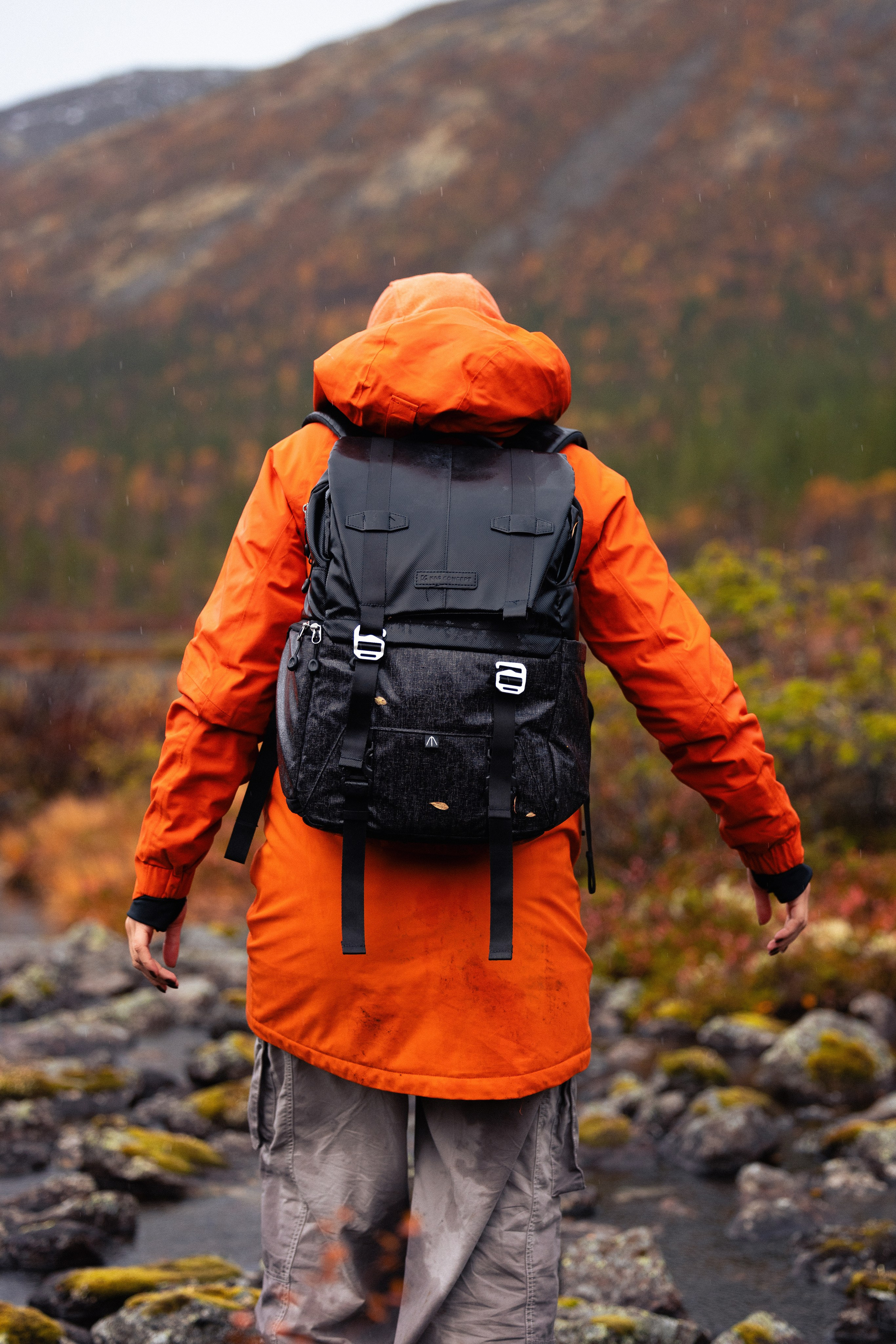 Кольский. Фотограф и видеограф анималист Аганина Дарья