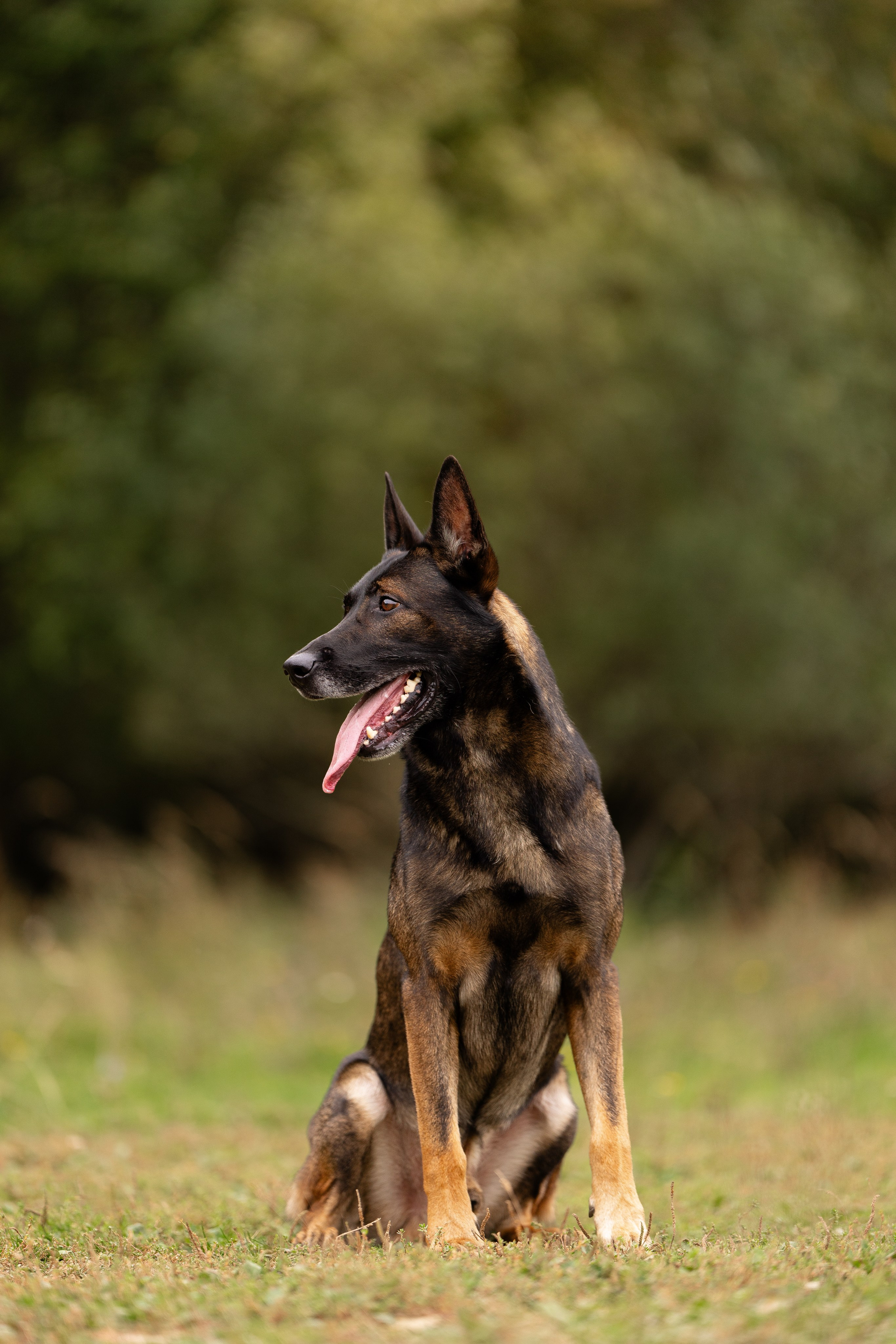 Макс. Фотограф и видеограф анималист Аганина Дарья