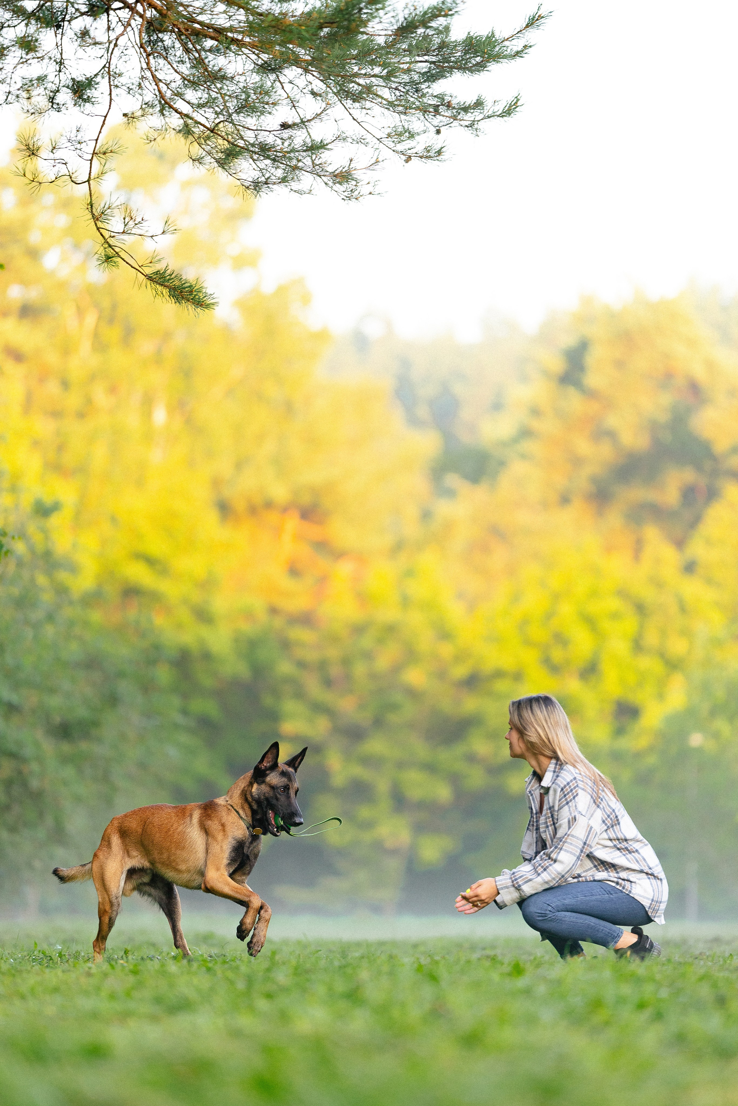Галина и Кодекс. Фотограф и видеограф анималист Аганина Дарья