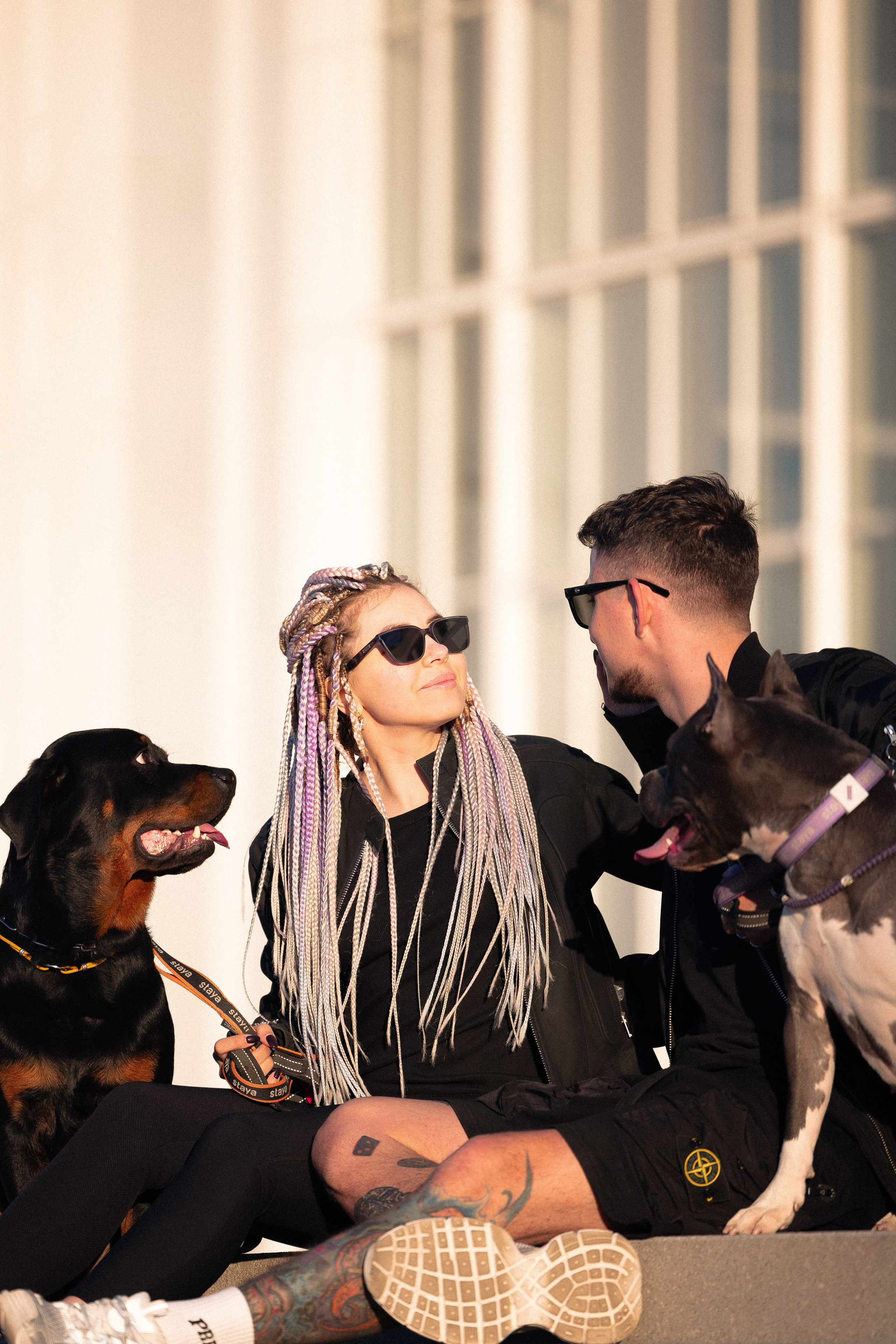 Катя, Леша, Трой и Лея. Фотограф и видеограф анималист Аганина Дарья