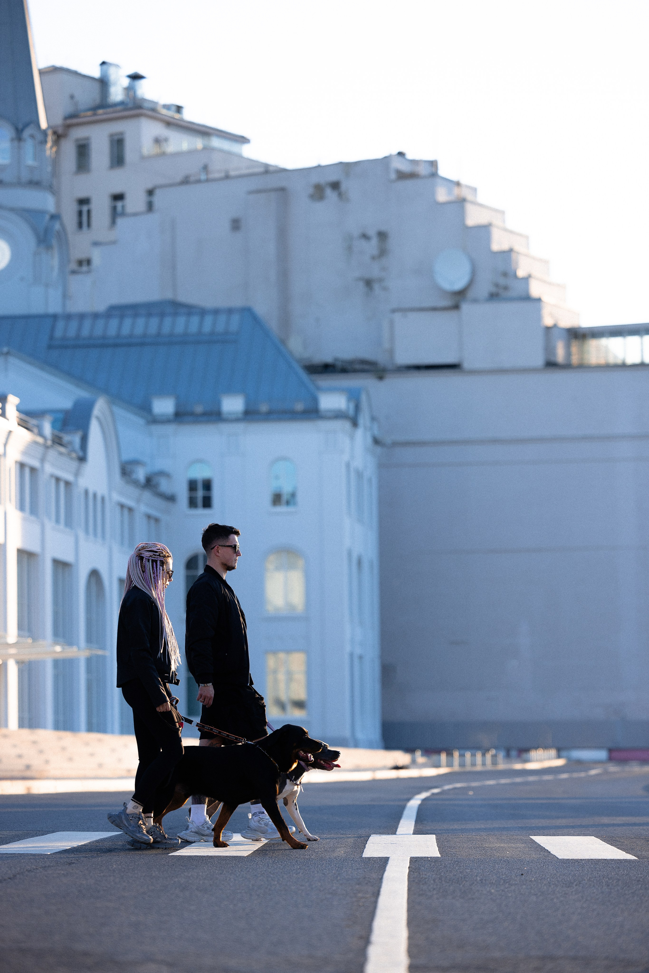 Катя, Леша, Трой и Лея. Фотограф и видеограф анималист Аганина Дарья
