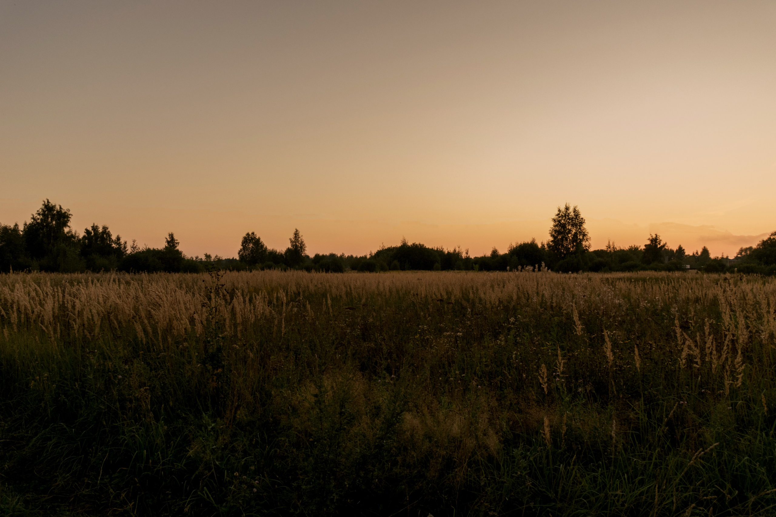 Алина и Влад на закате. Фотограф в Павловском Посаде, Москве Елена Фролова