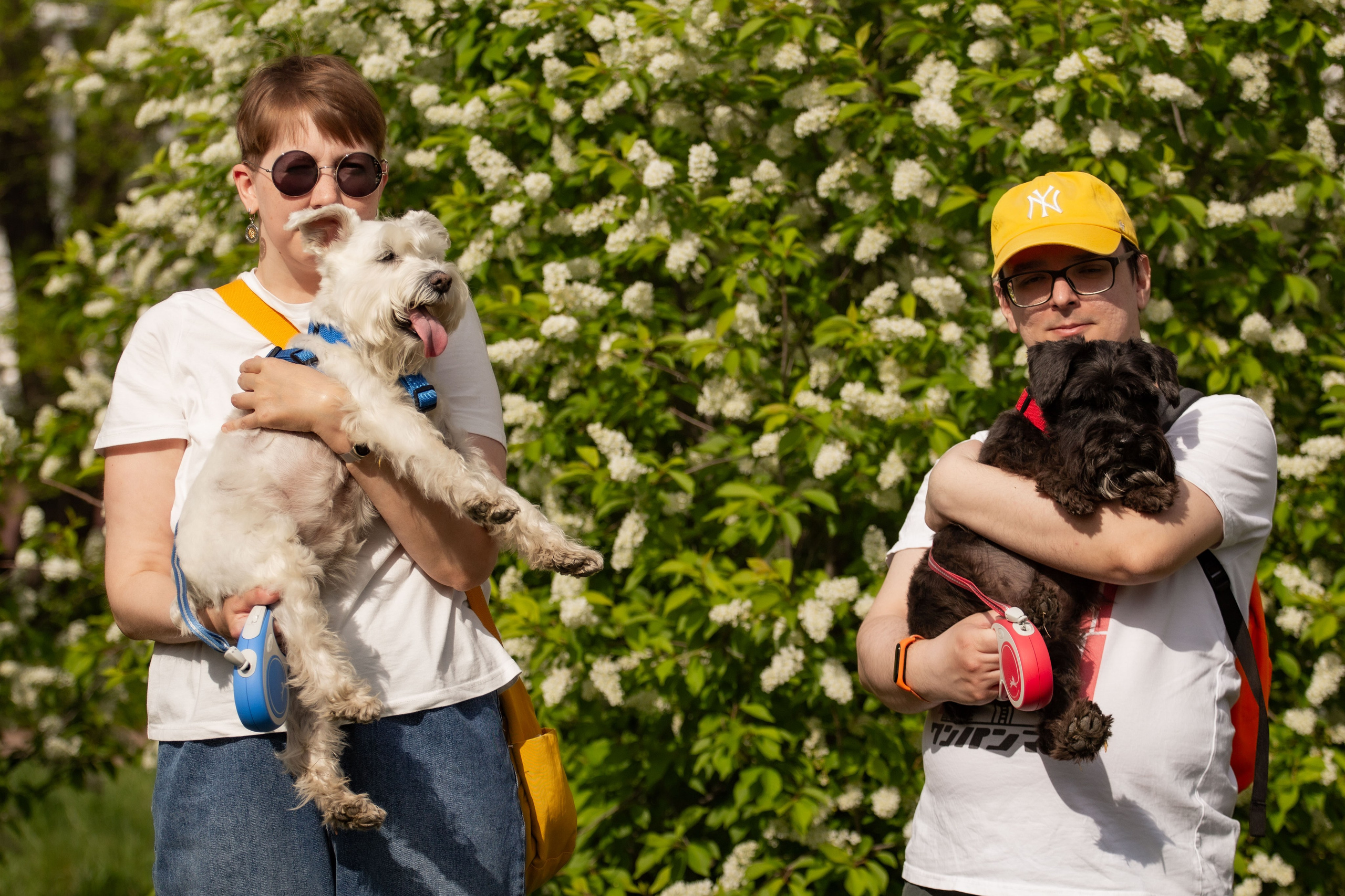 Цвергшнауцеры и их хозяева Андрей и Полина. Фотограф Екатерина Козловская