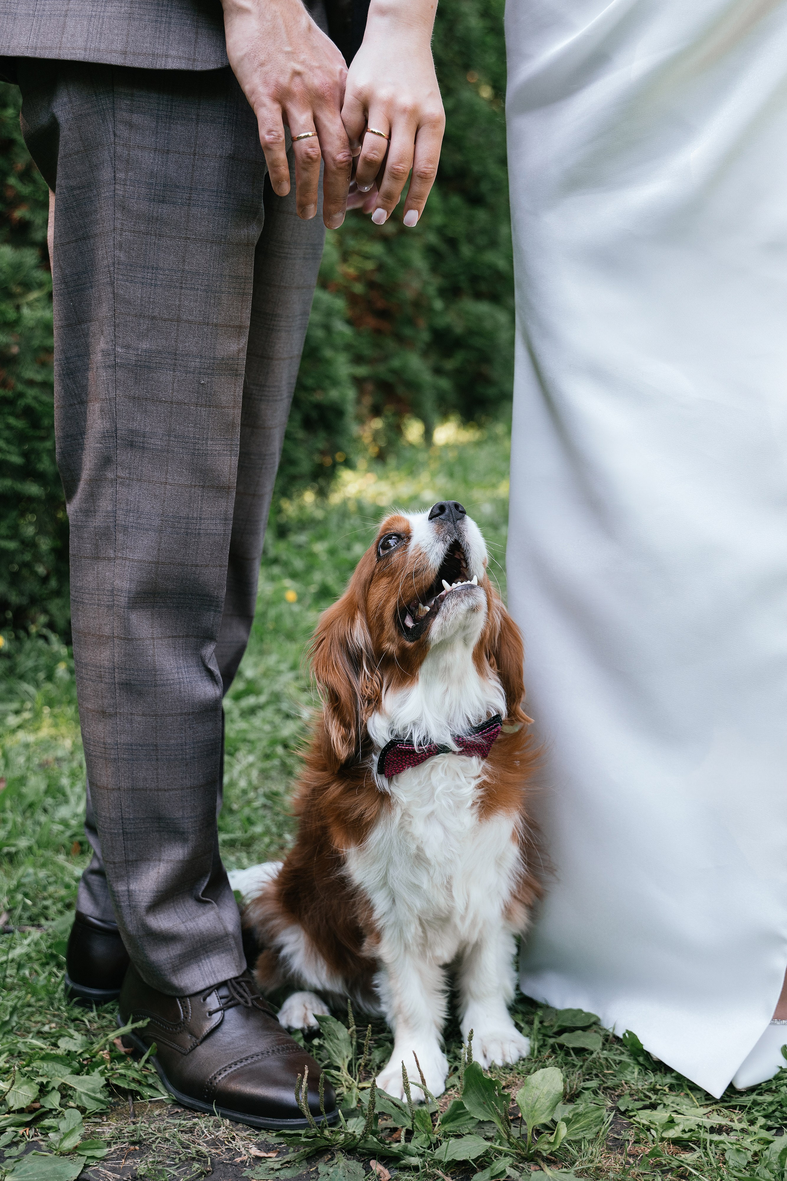 Wedding day #56. Свадебный, семейный фотограф в Рязани Лена Брант