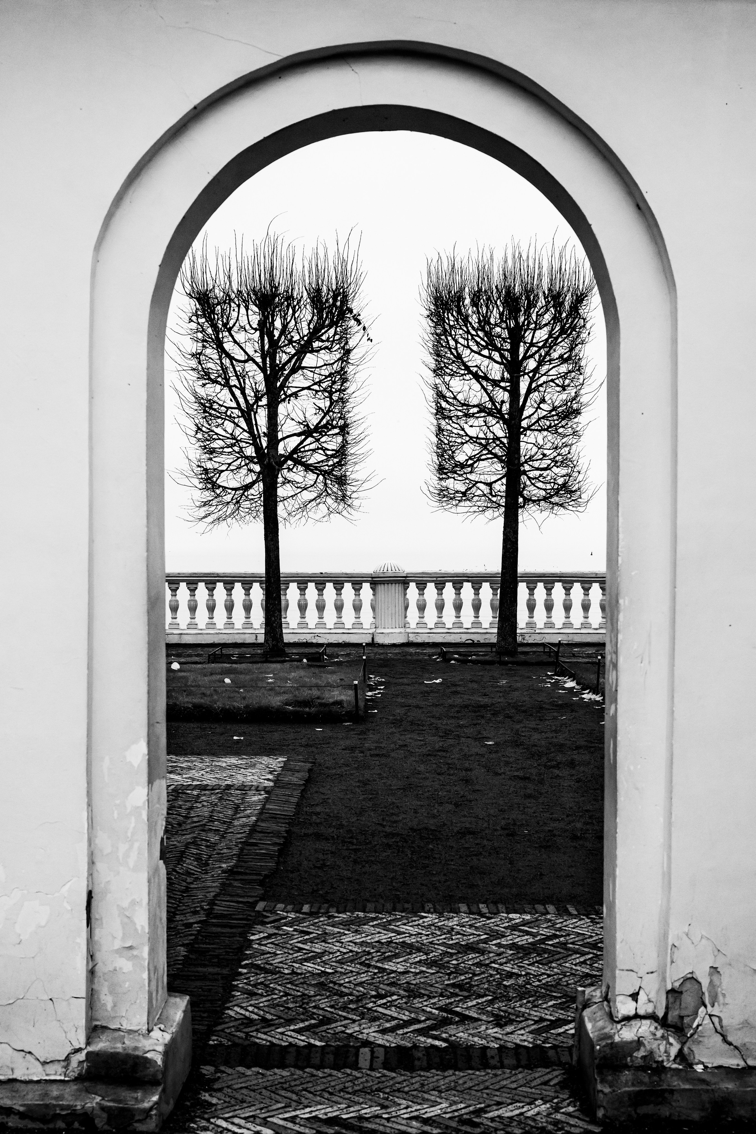 შავ- თეთრი. დიმიტრი ბახტაძე ფოტოგრაფი