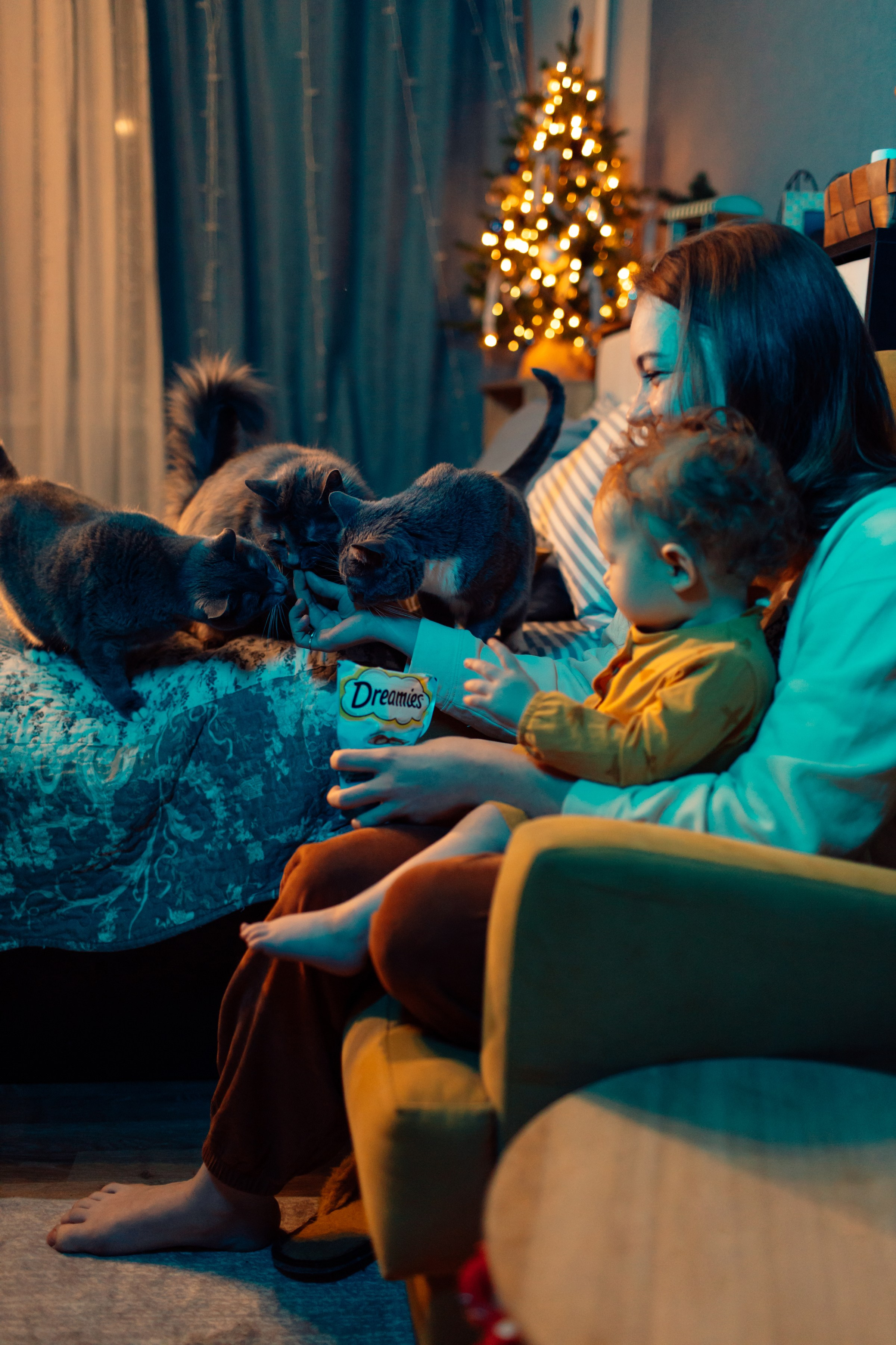 Уют и котики. Портретный фотограф Лакшин Денис. Истории через фотографию