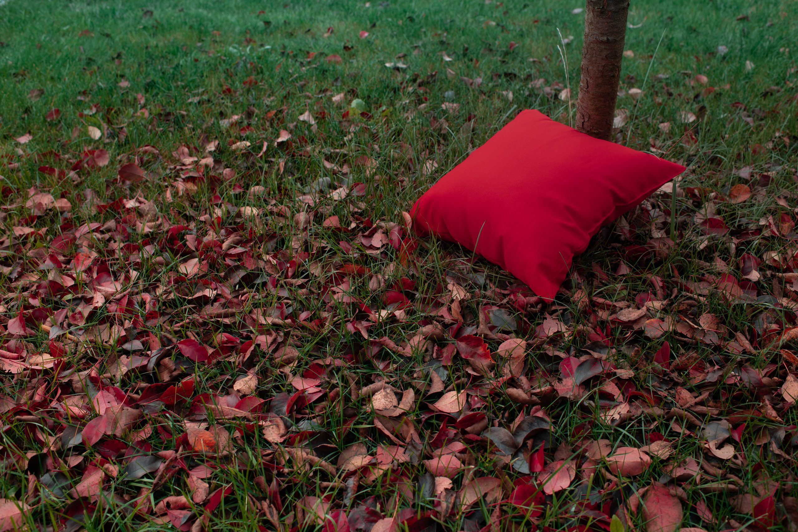 The Expiration Date. ALEXEY KRYLOV | Photography