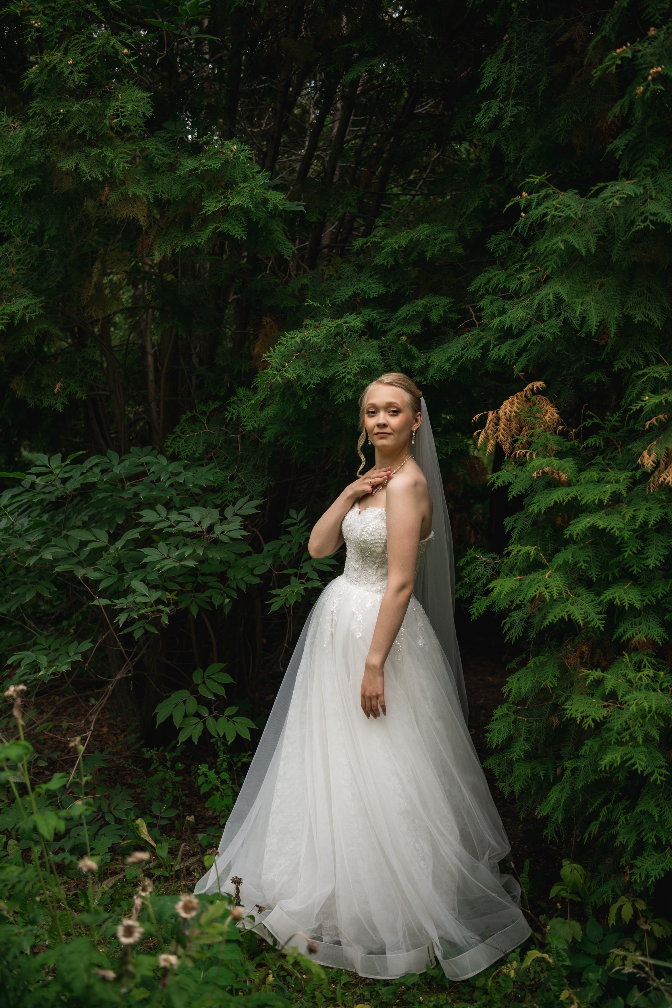 Даниил и Татьяна. Фомина Елена Свадебный и семейный фотограф