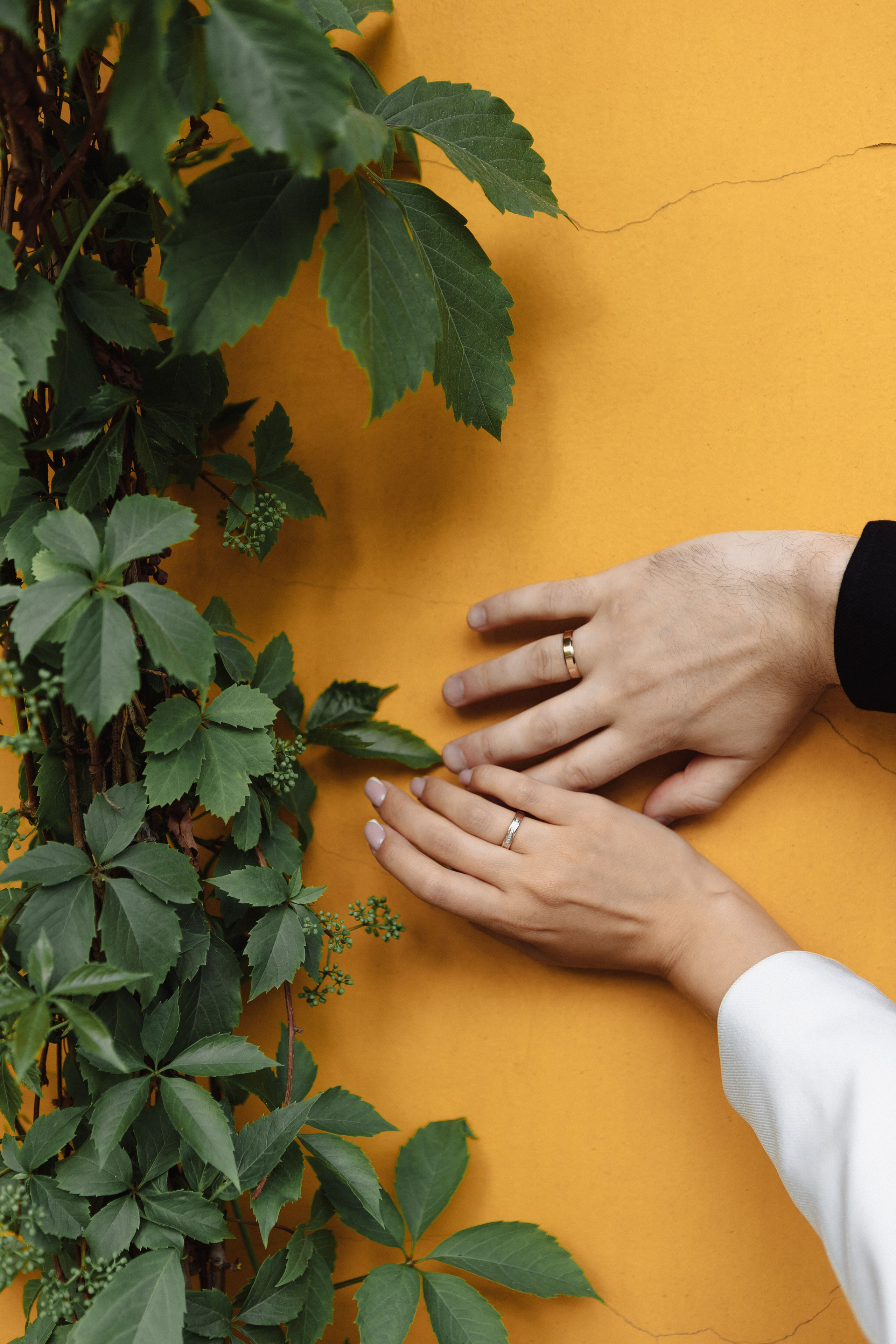 Свадьба Максима и Екатерины. Фотограф Кольчугино/Владимир/Москва Елизавета Иода