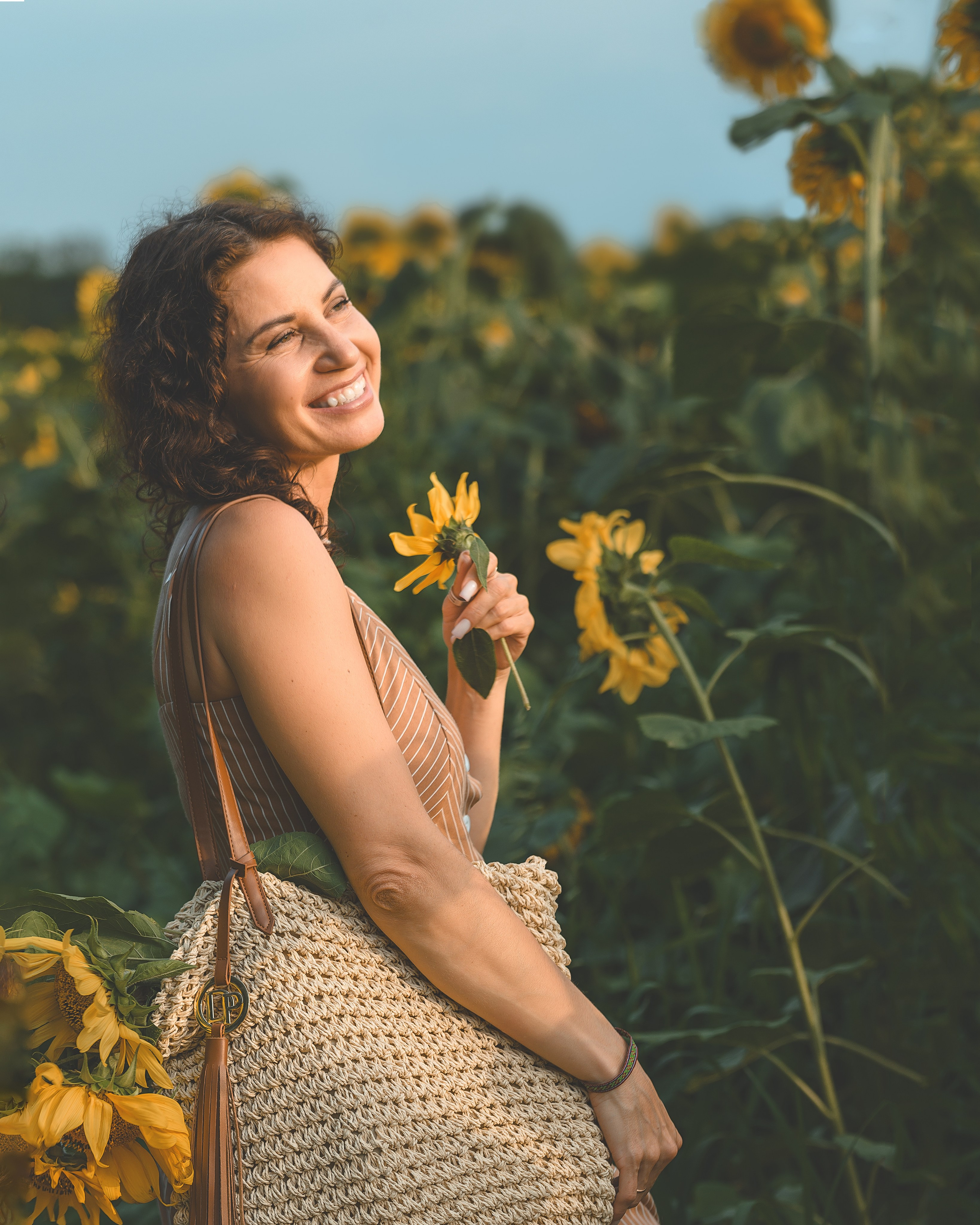 Подсолнухи. Фотограф г. Хабаровск