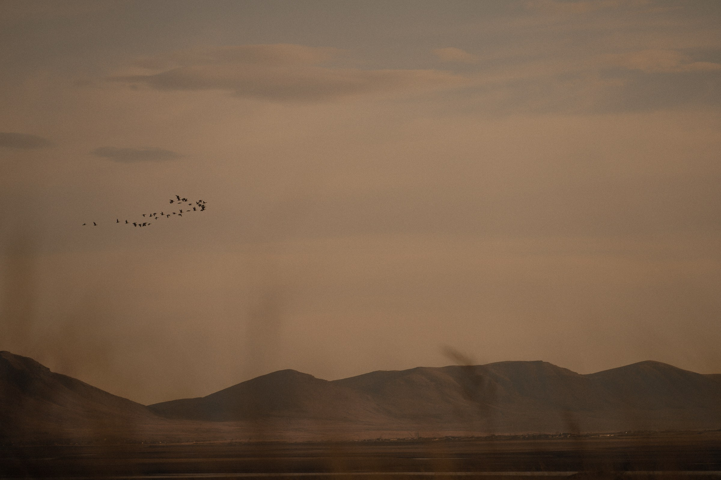 С тобой так спокойно…. Свадебный и семейный фотограф в Абакане Василевский Алексей