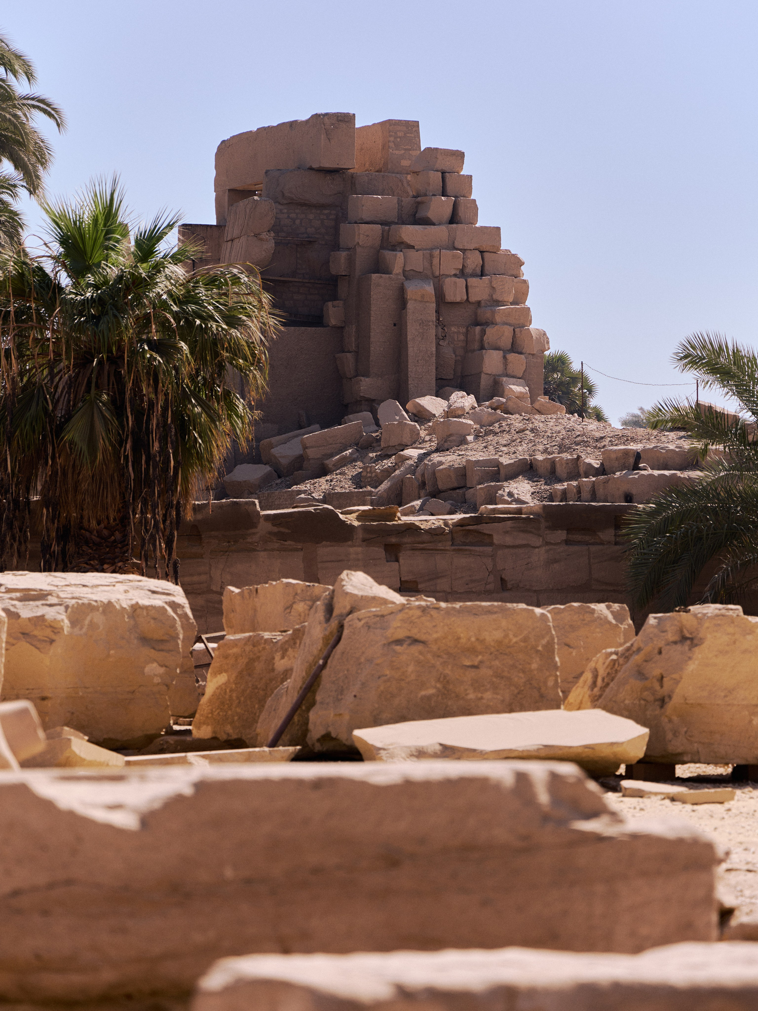 Другое 4. Jorgis — фотограф в Хургаде / обучение фотографии