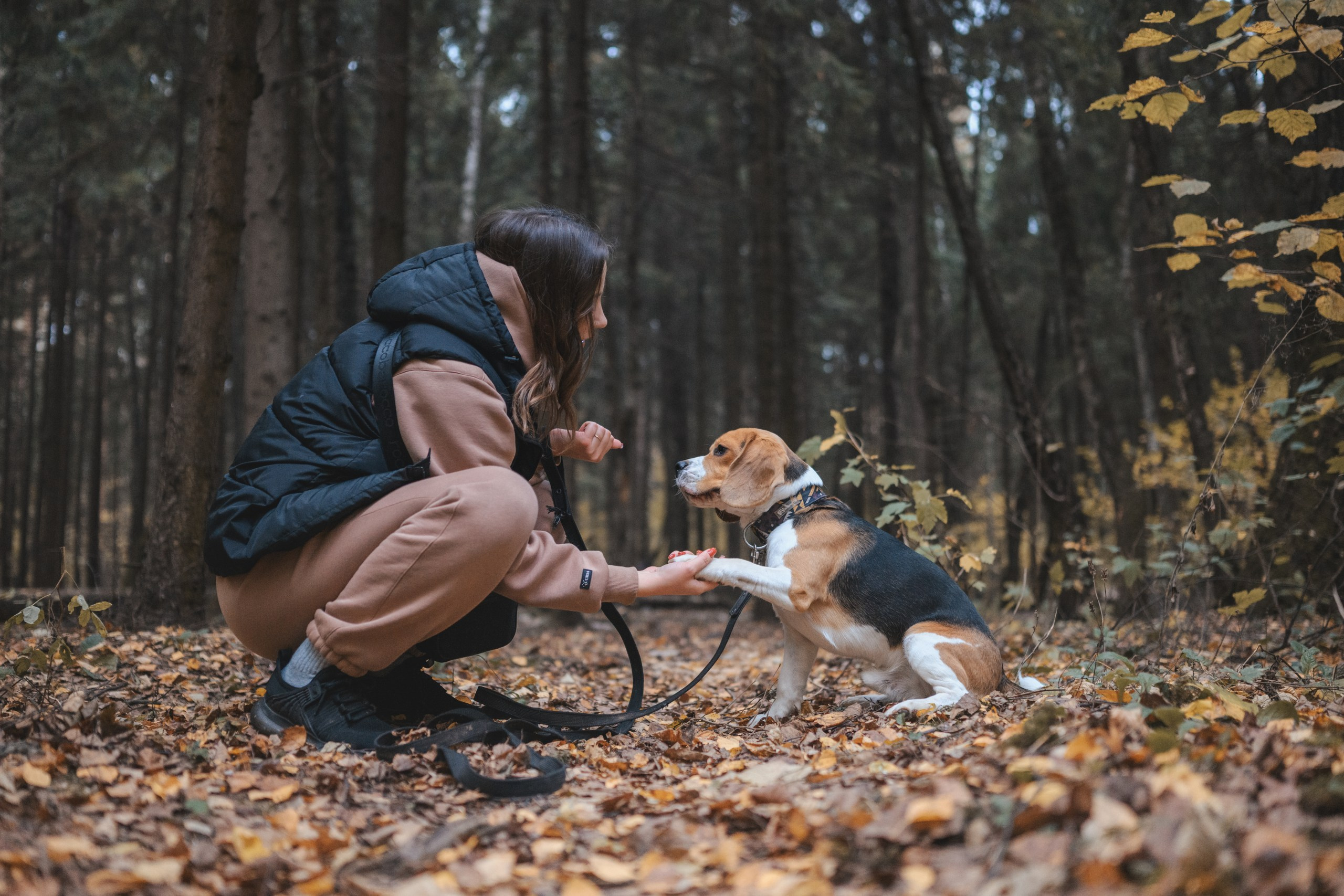 Наталья и Бока. Фотограф Анималист в Москве Анастасия Жучкова